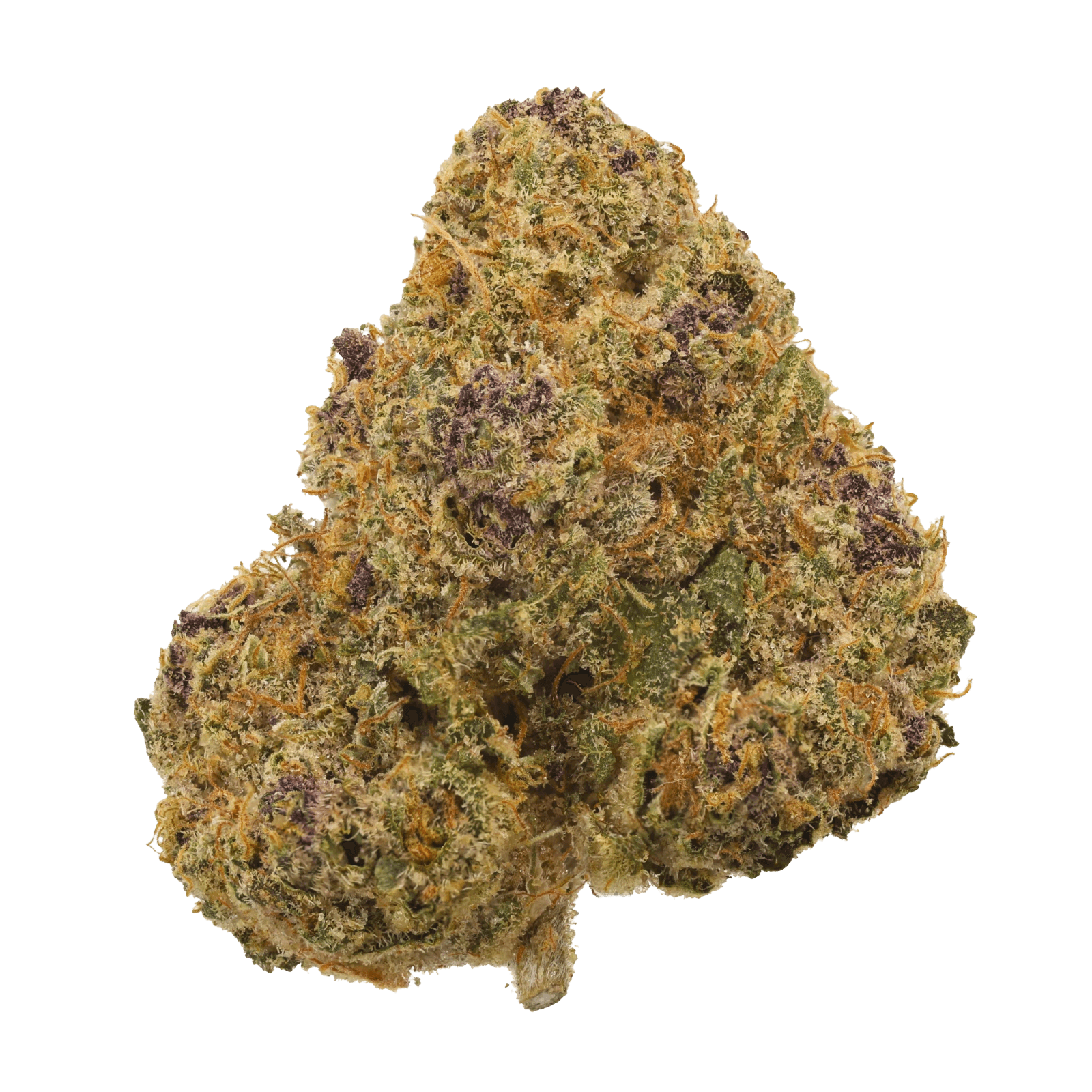 Organic Sweetgrass TQN 27/1