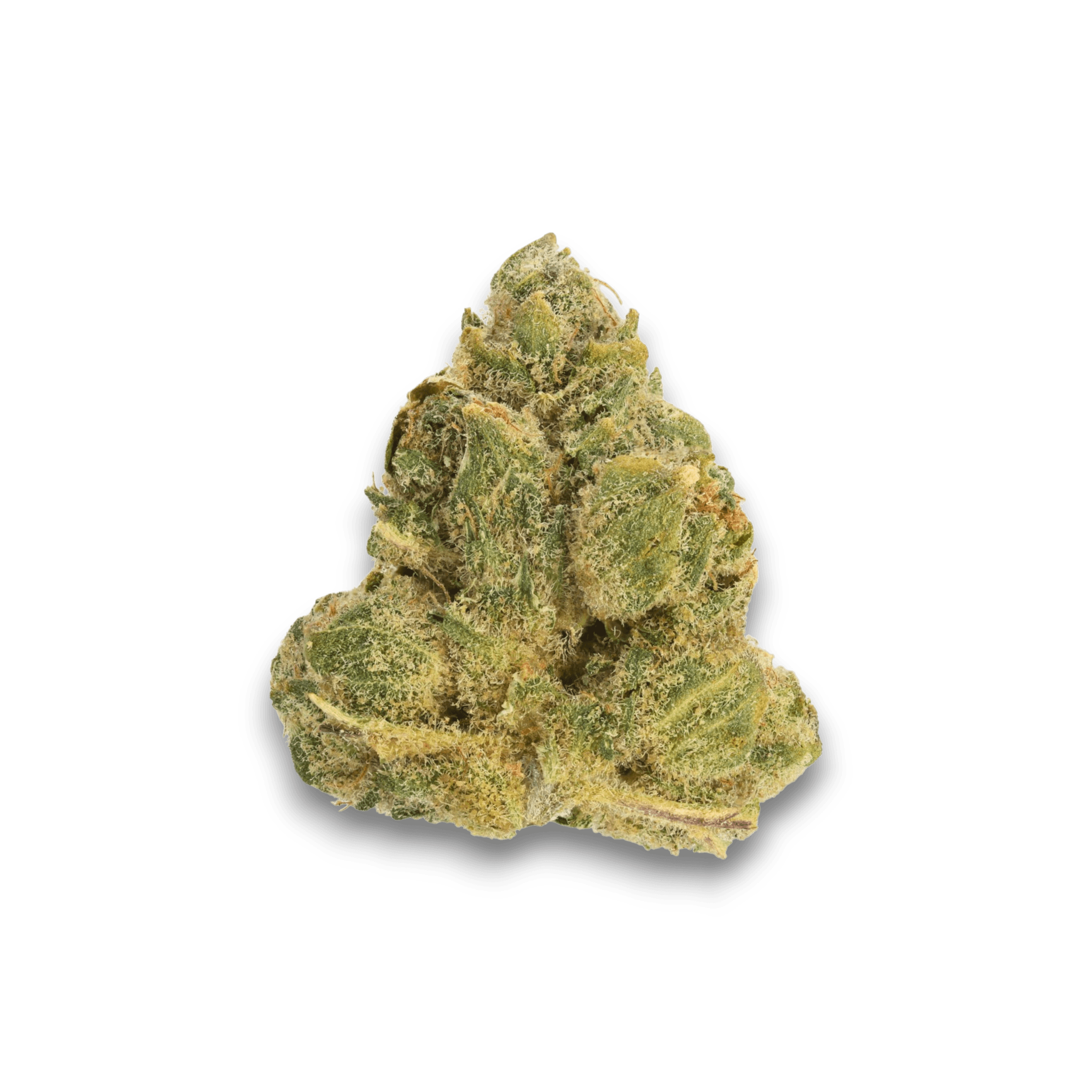Med. Cannabis