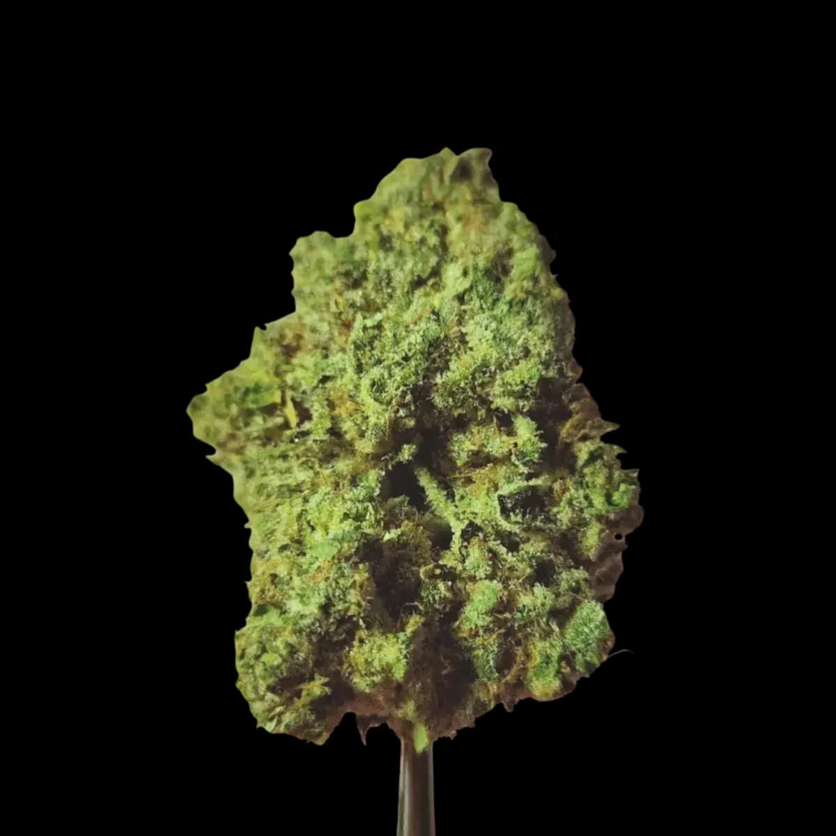 Med. Cannabis