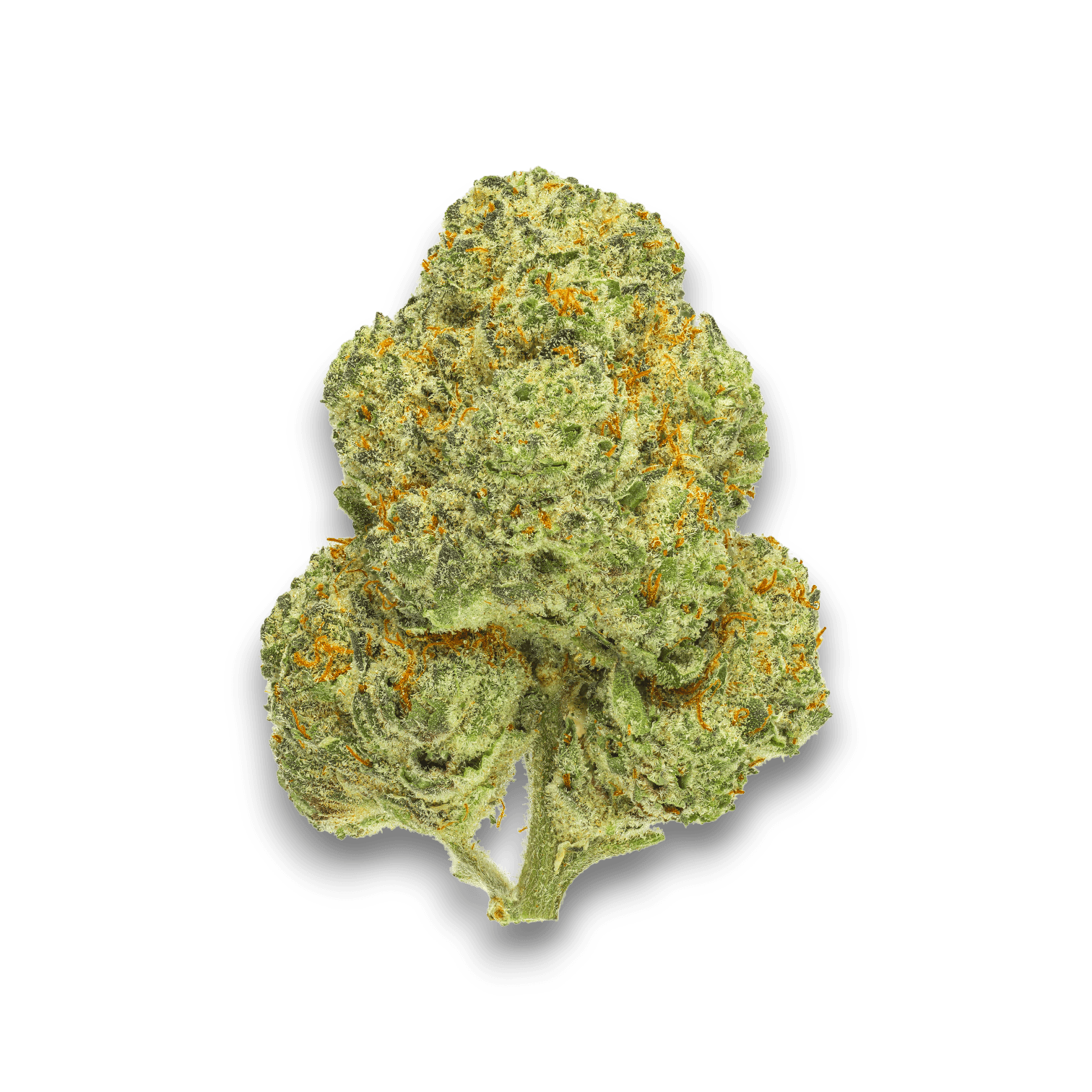 Med. Cannabis