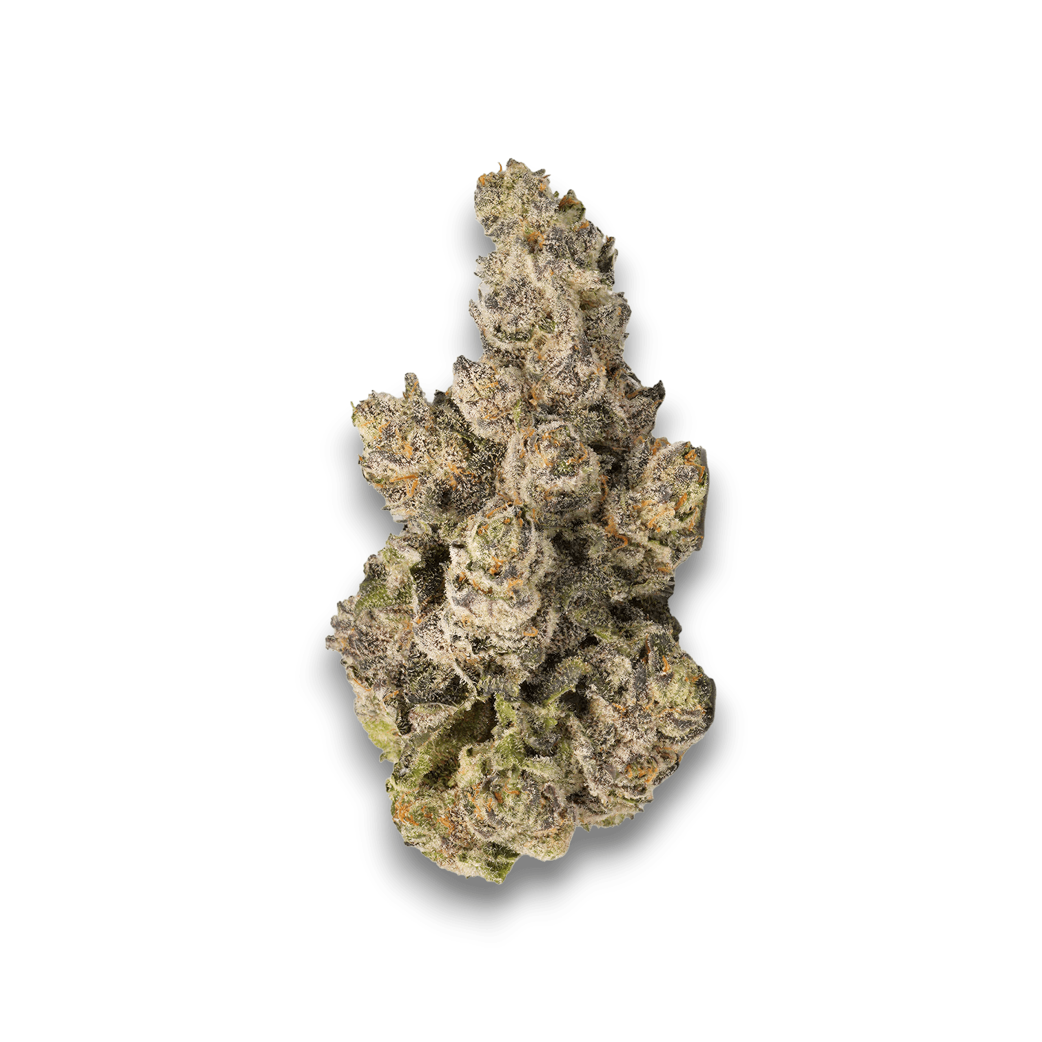Med. Cannabis