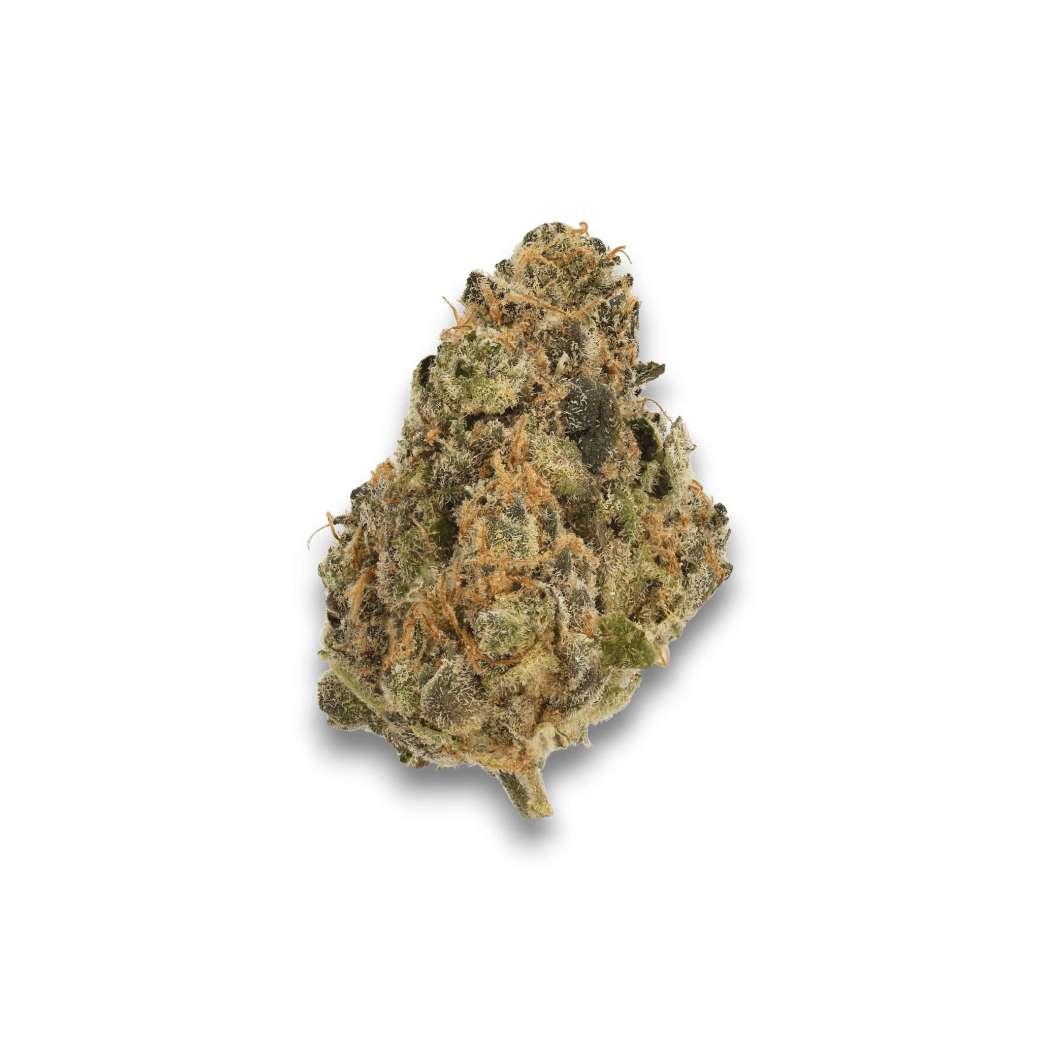 Med. Cannabis