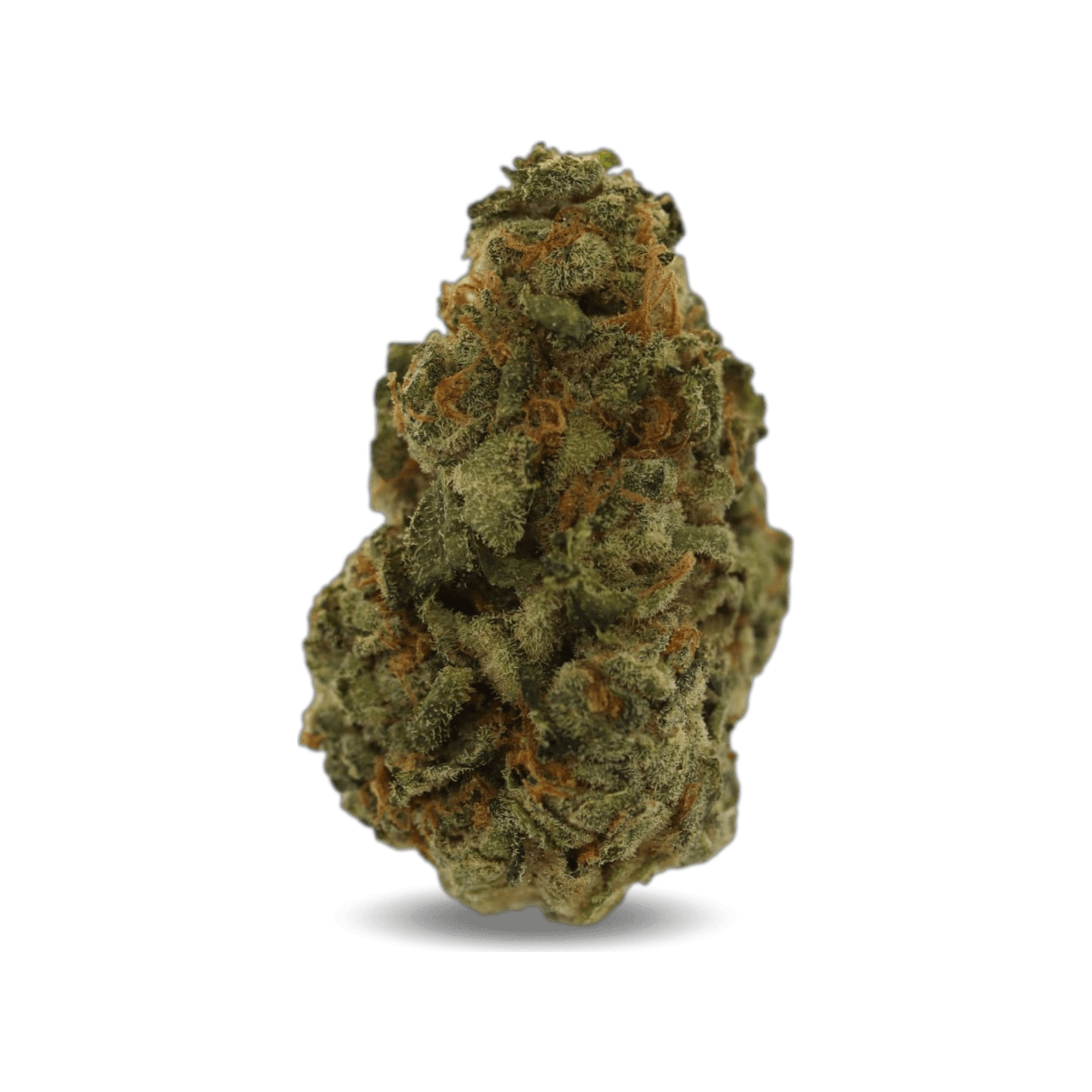 Med. Cannabis