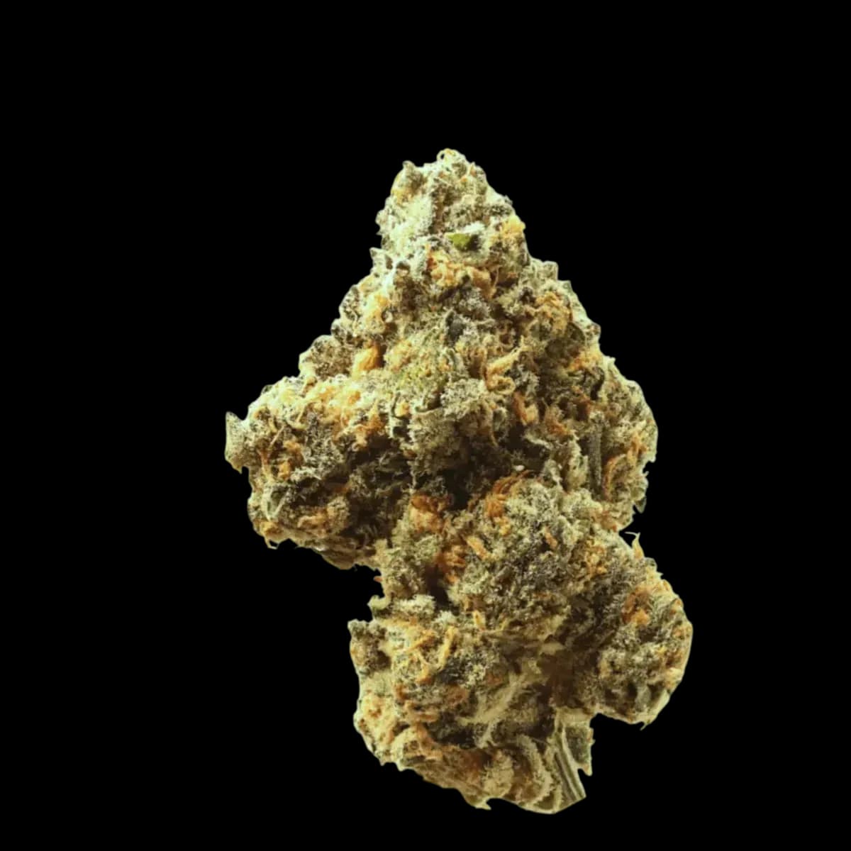 Med. Cannabis