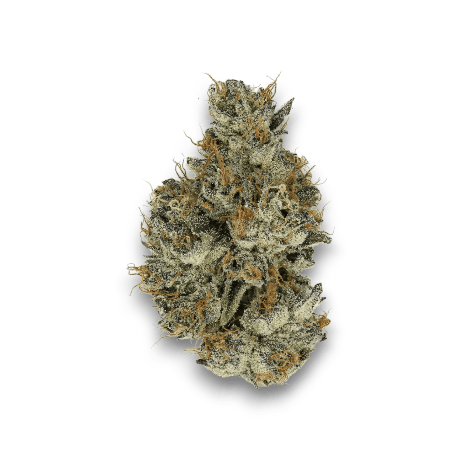 Med. Cannabis