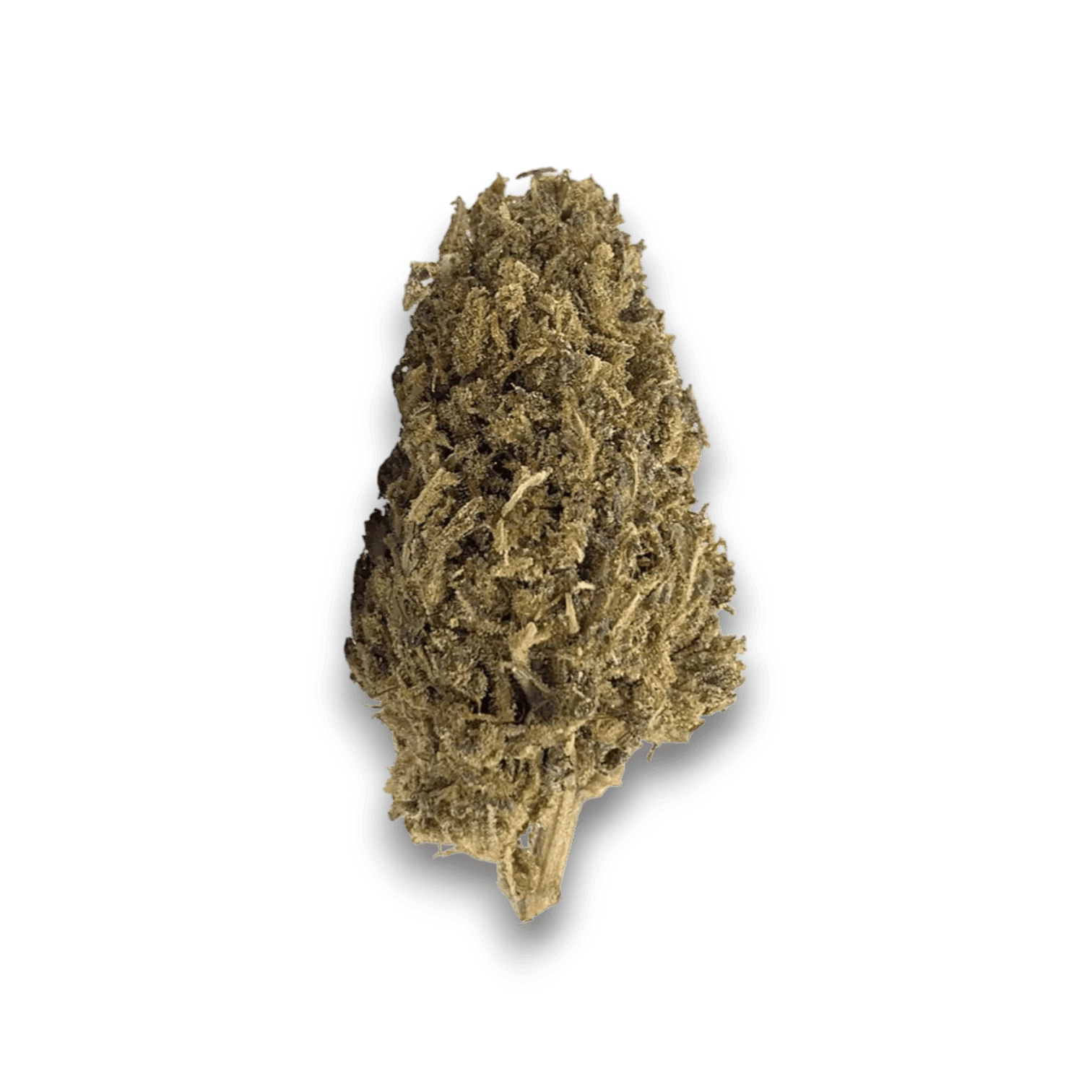 Med. Cannabis