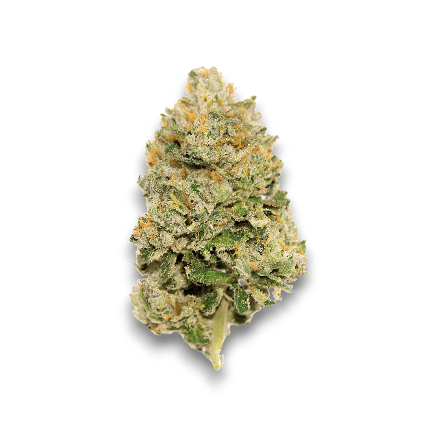 Med. Cannabis