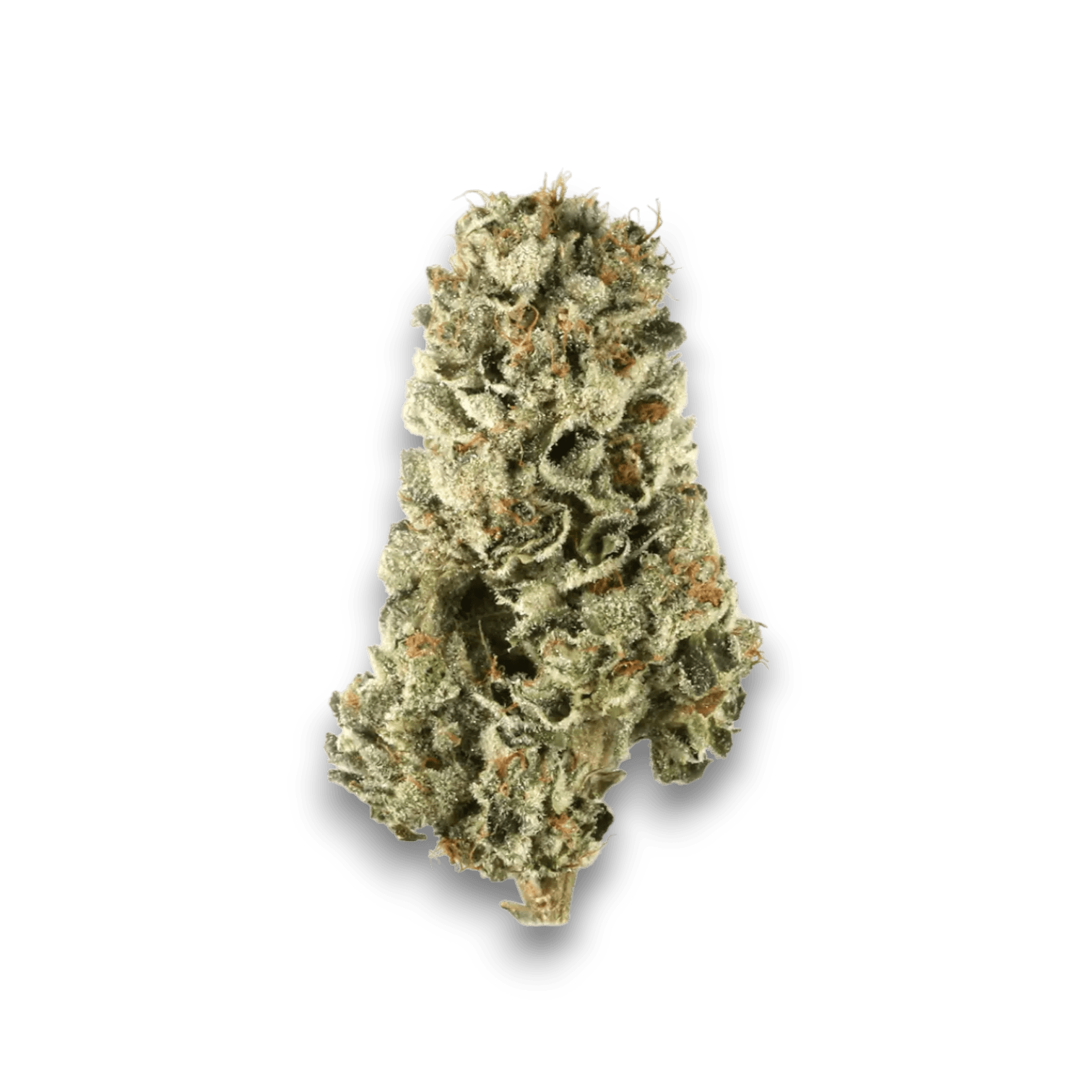 Med. Cannabis