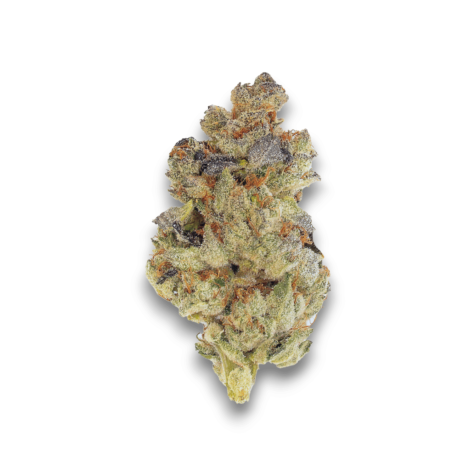 Med. Cannabis