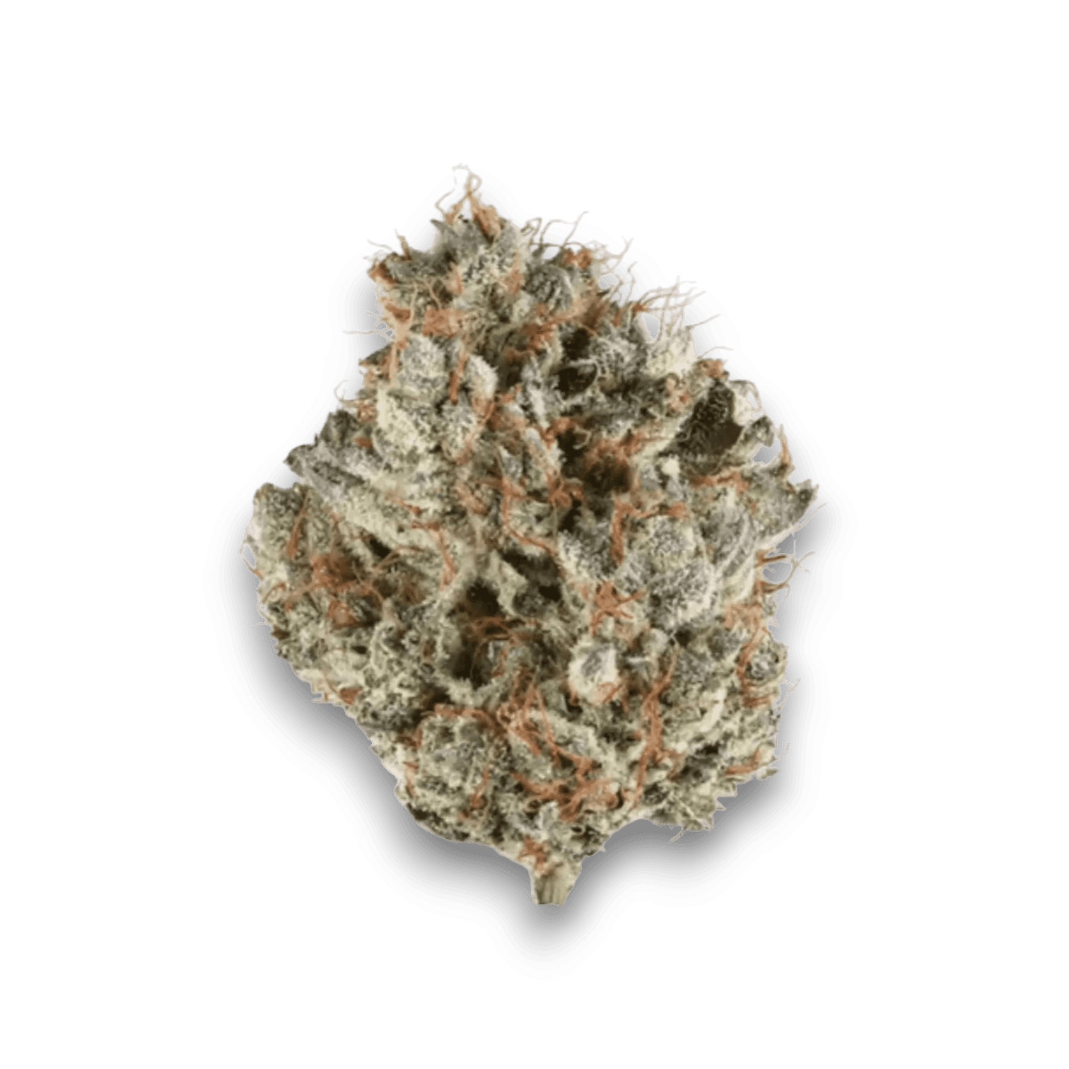 Med. Cannabis