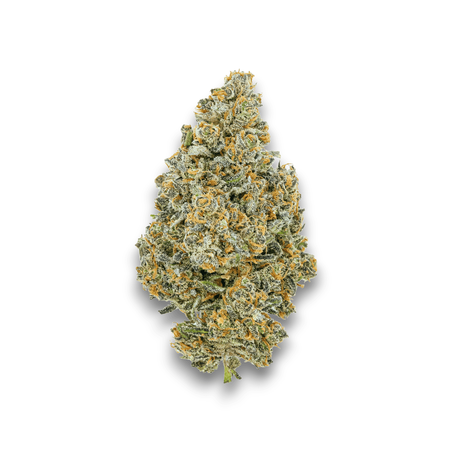 Med. Cannabis