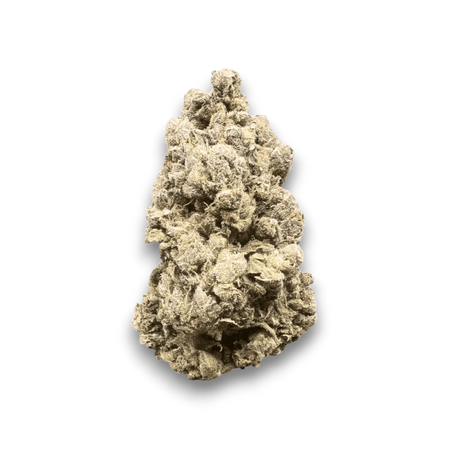 Med. Cannabis