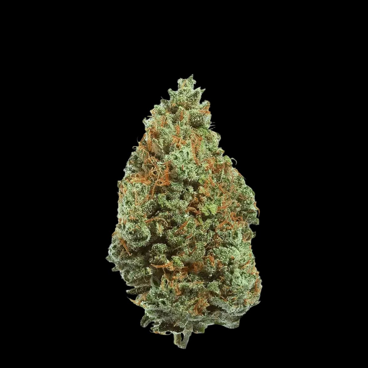 Med. Cannabis