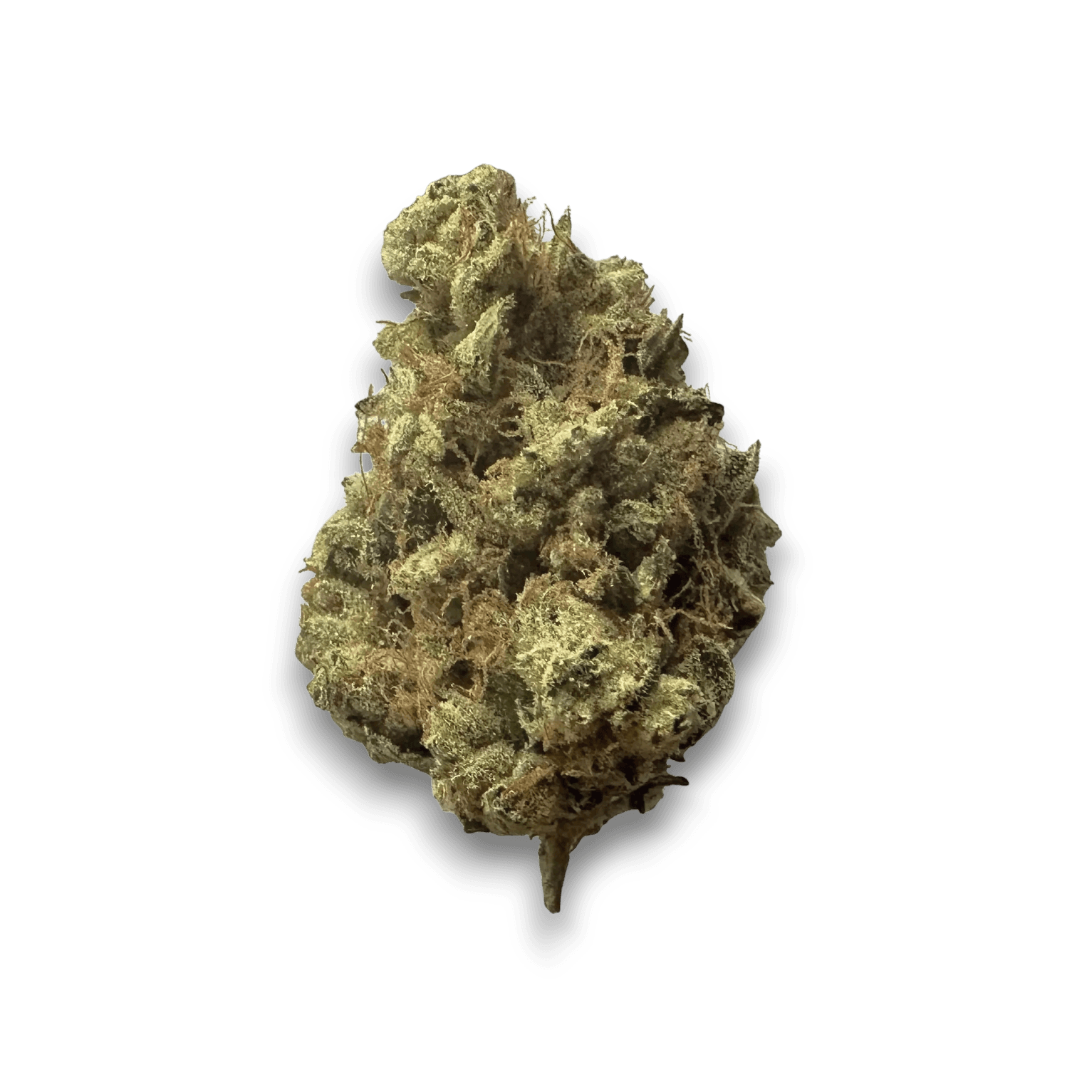 Med. Cannabis