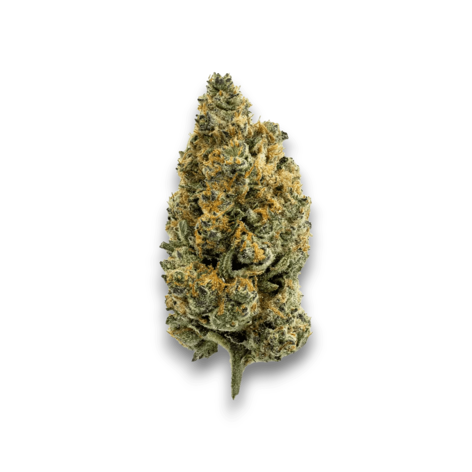 Med. Cannabis