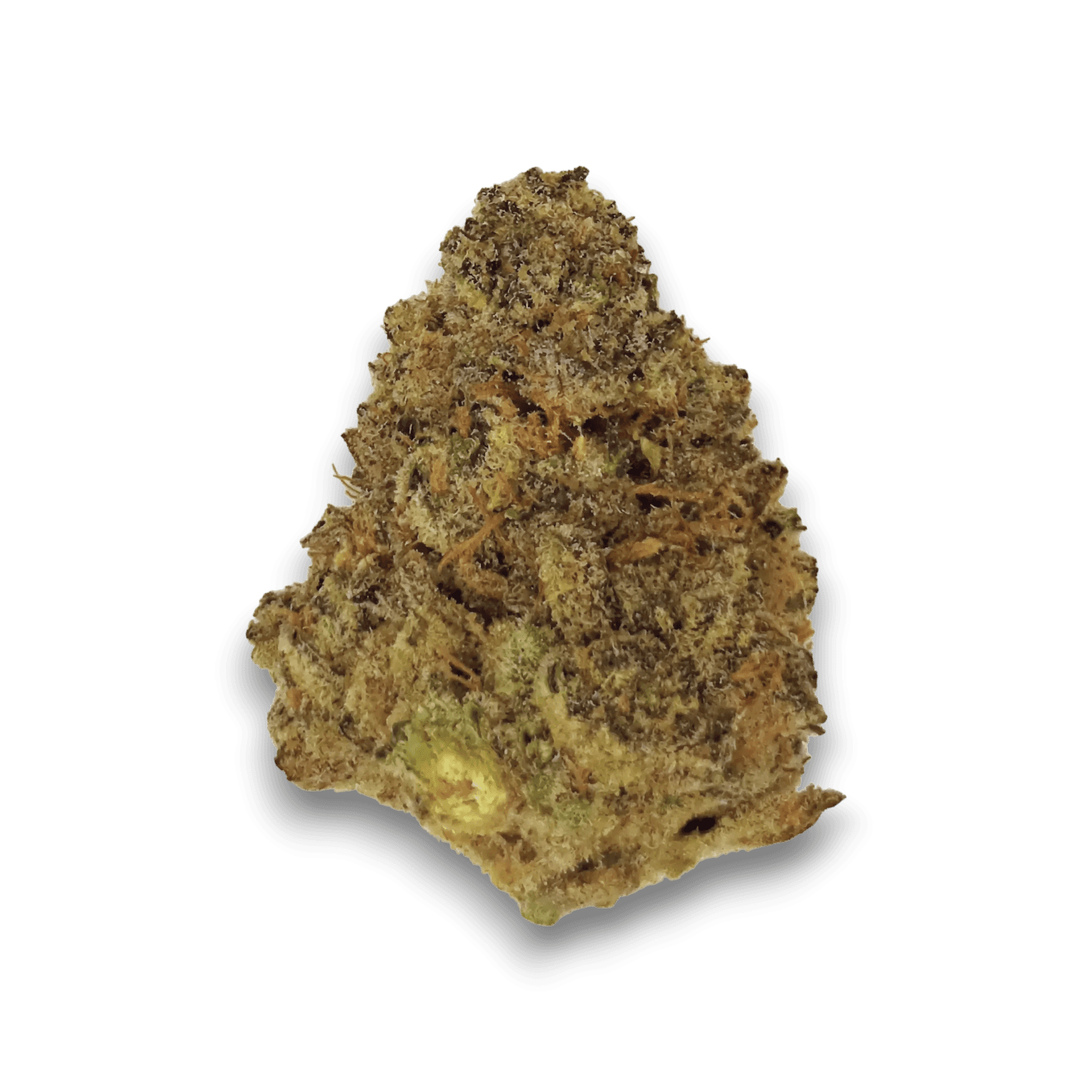 Med. Cannabis