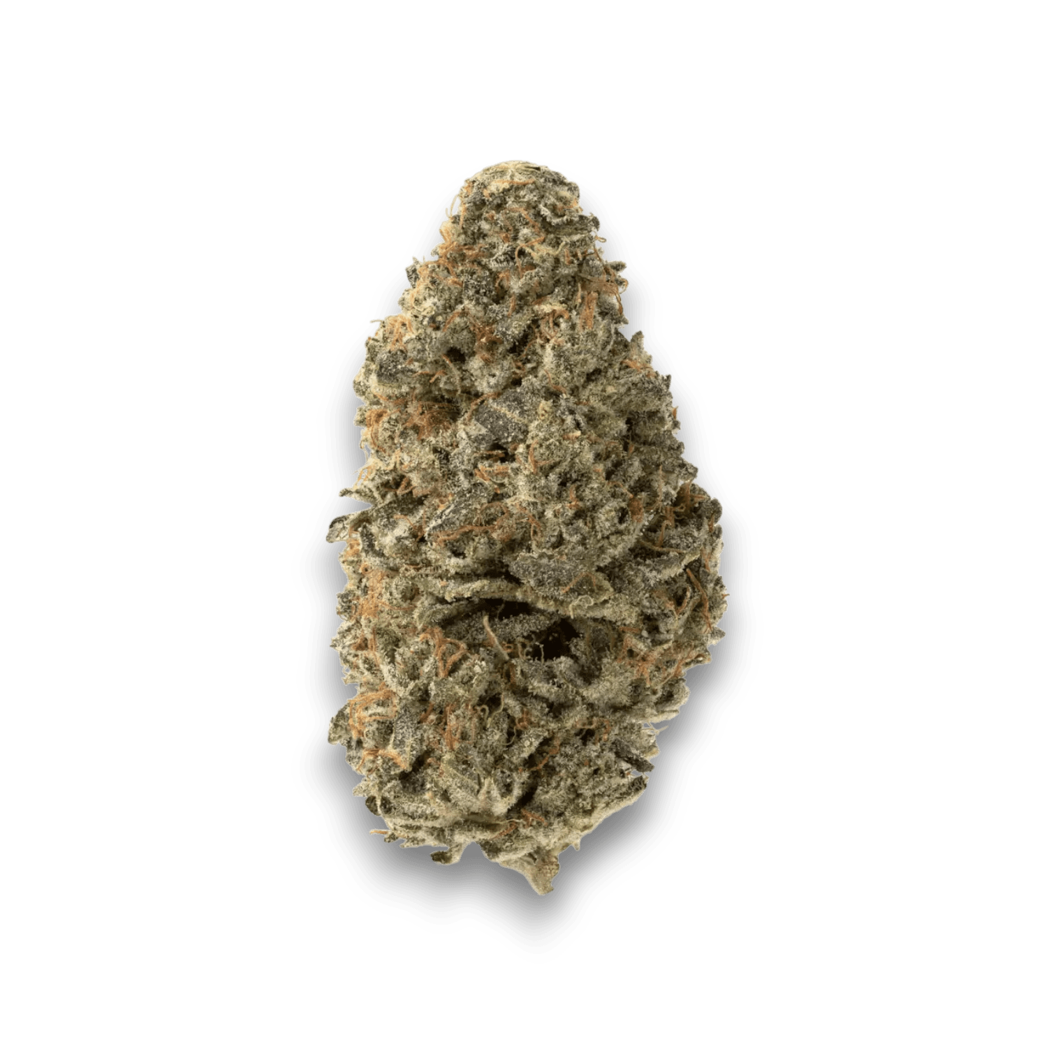 Med. Cannabis