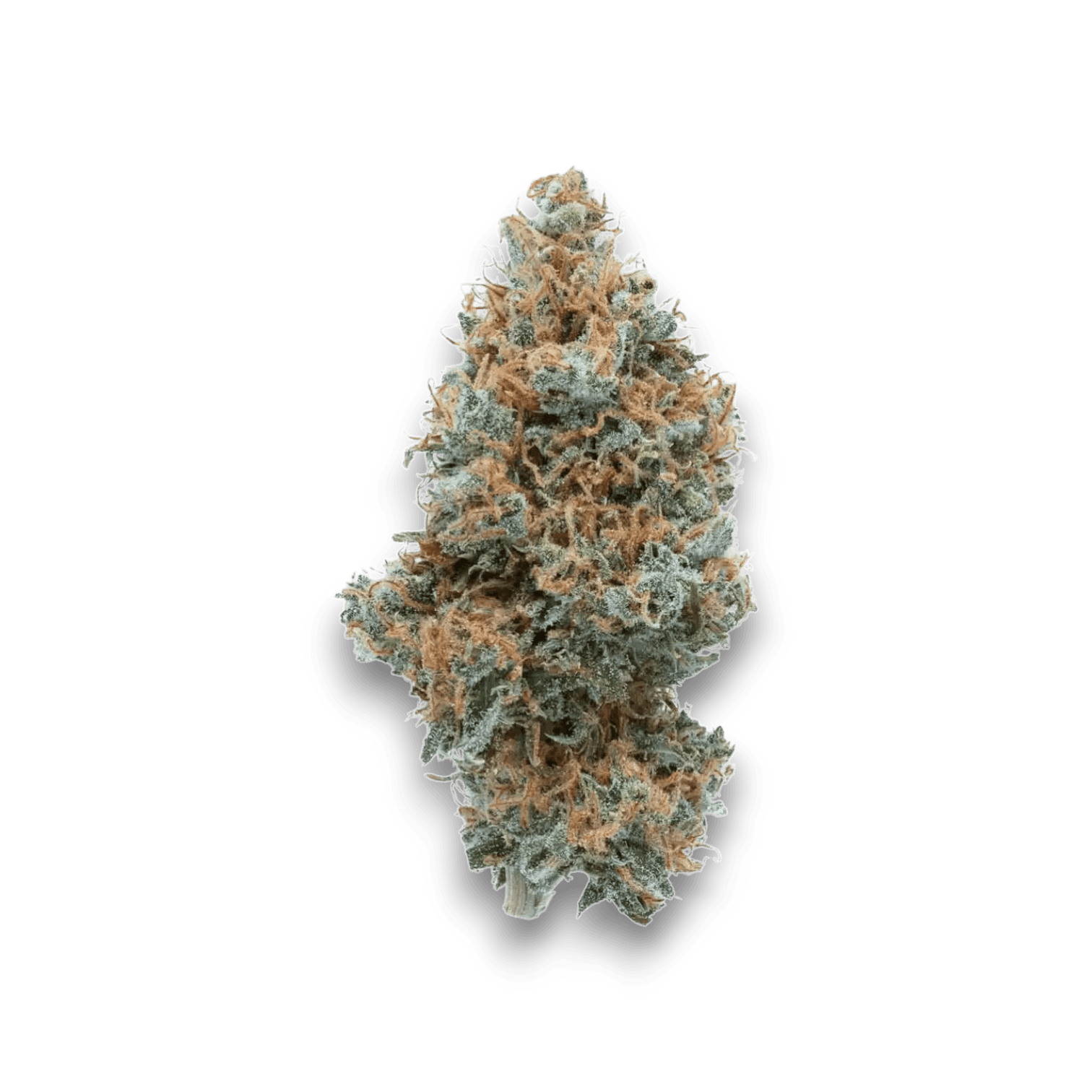 Med. Cannabis