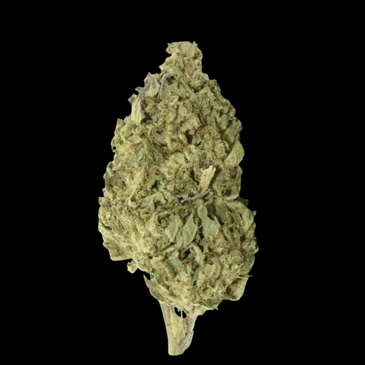 Med. Cannabis