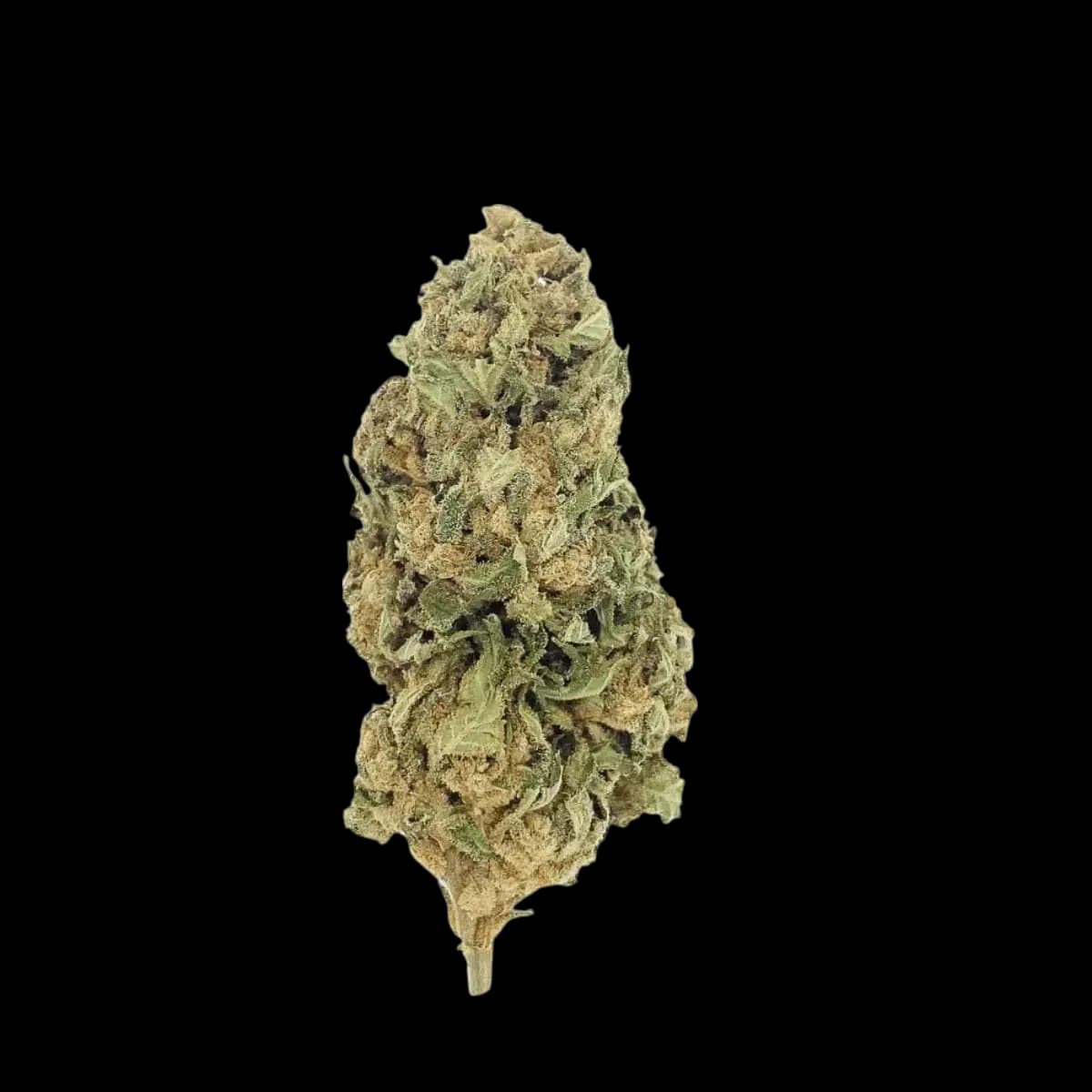 Med. Cannabis