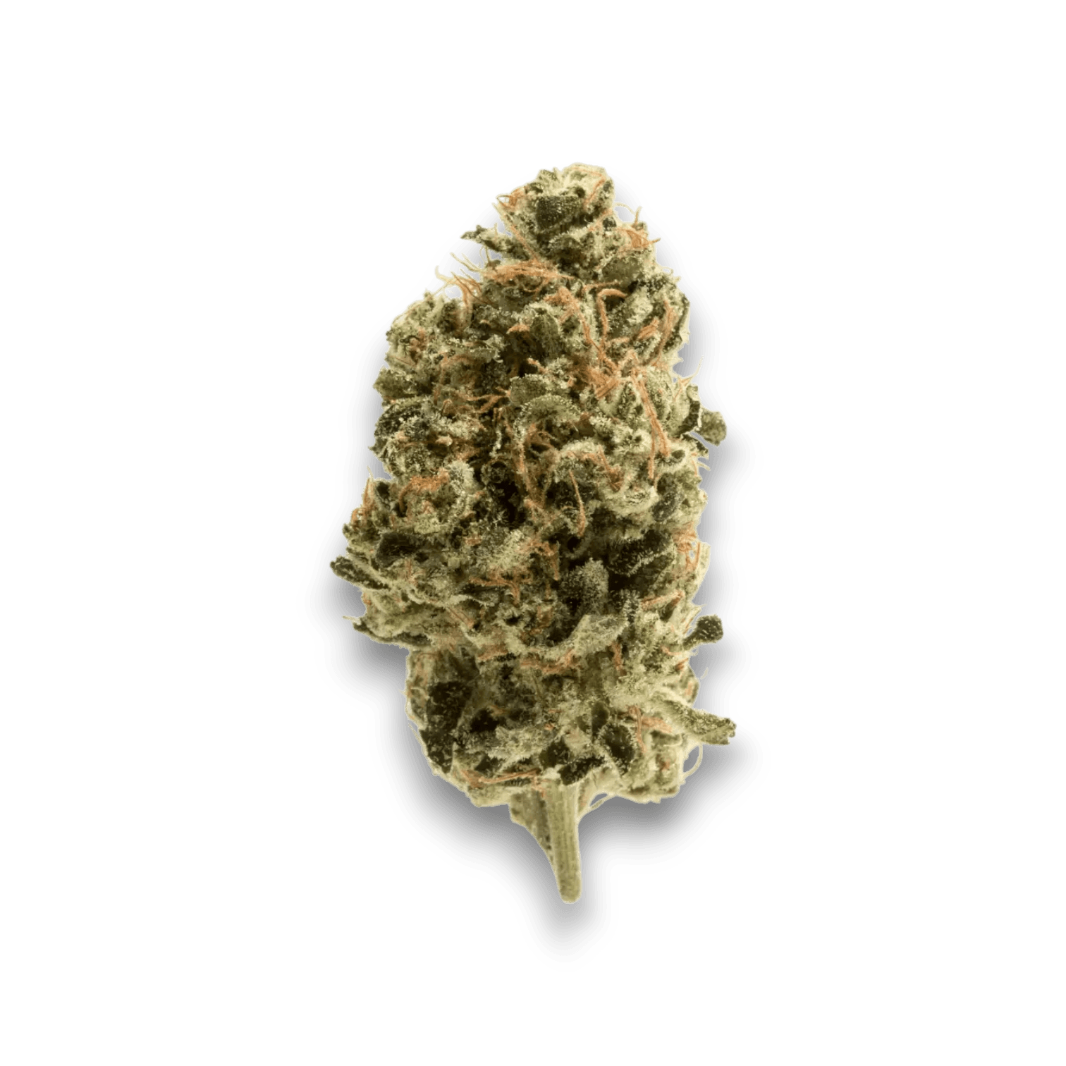 Med. Cannabis