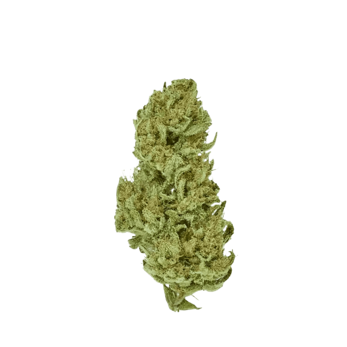 Med. Cannabis