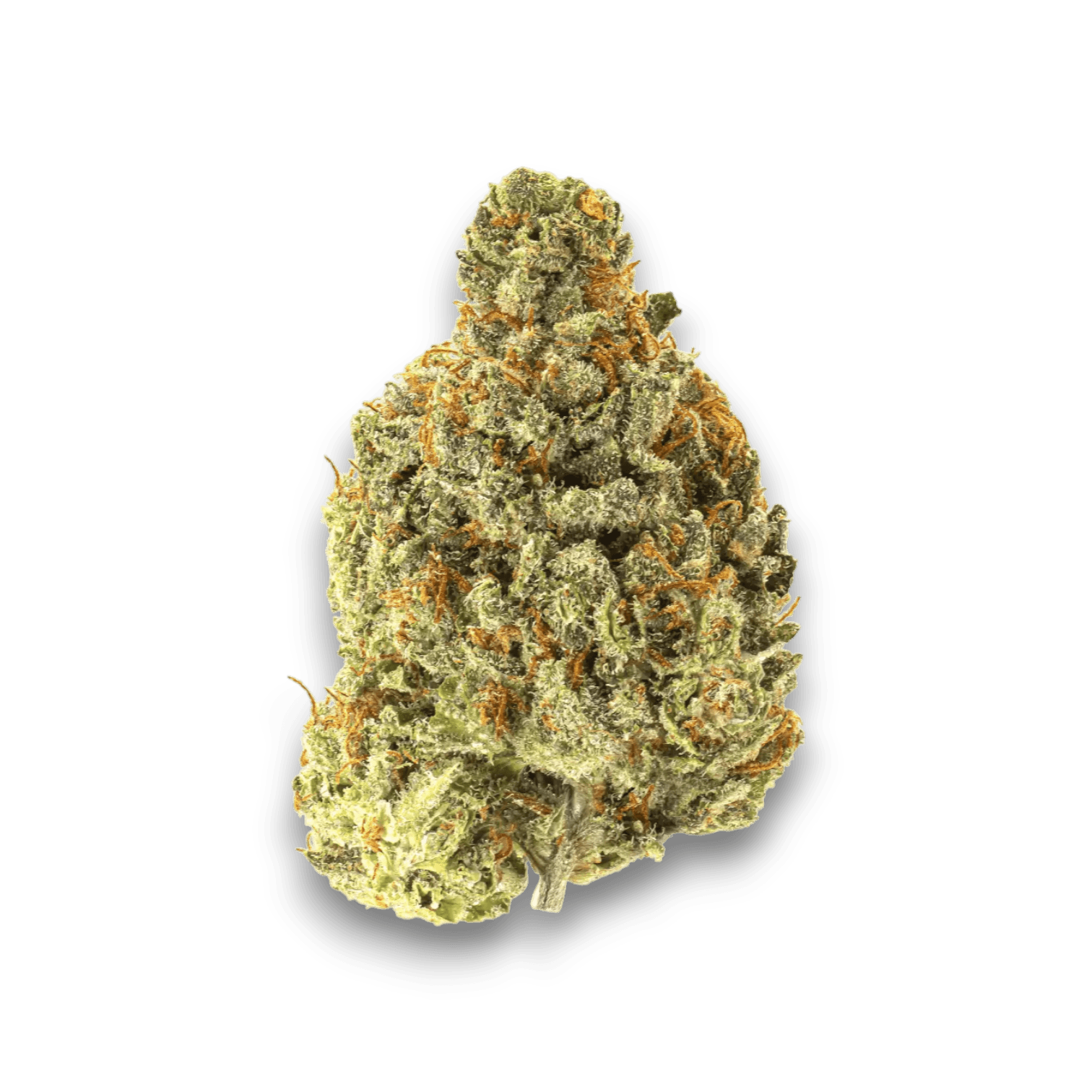 Med. Cannabis