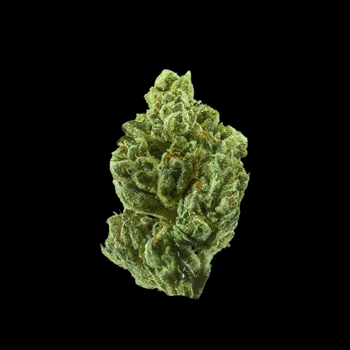 Med. Cannabis