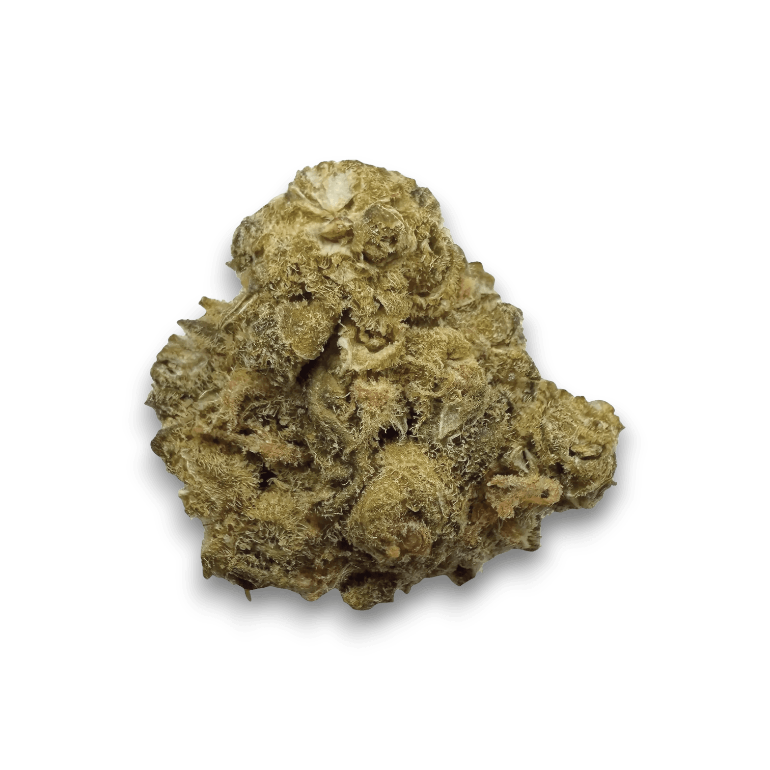 Med. Cannabis