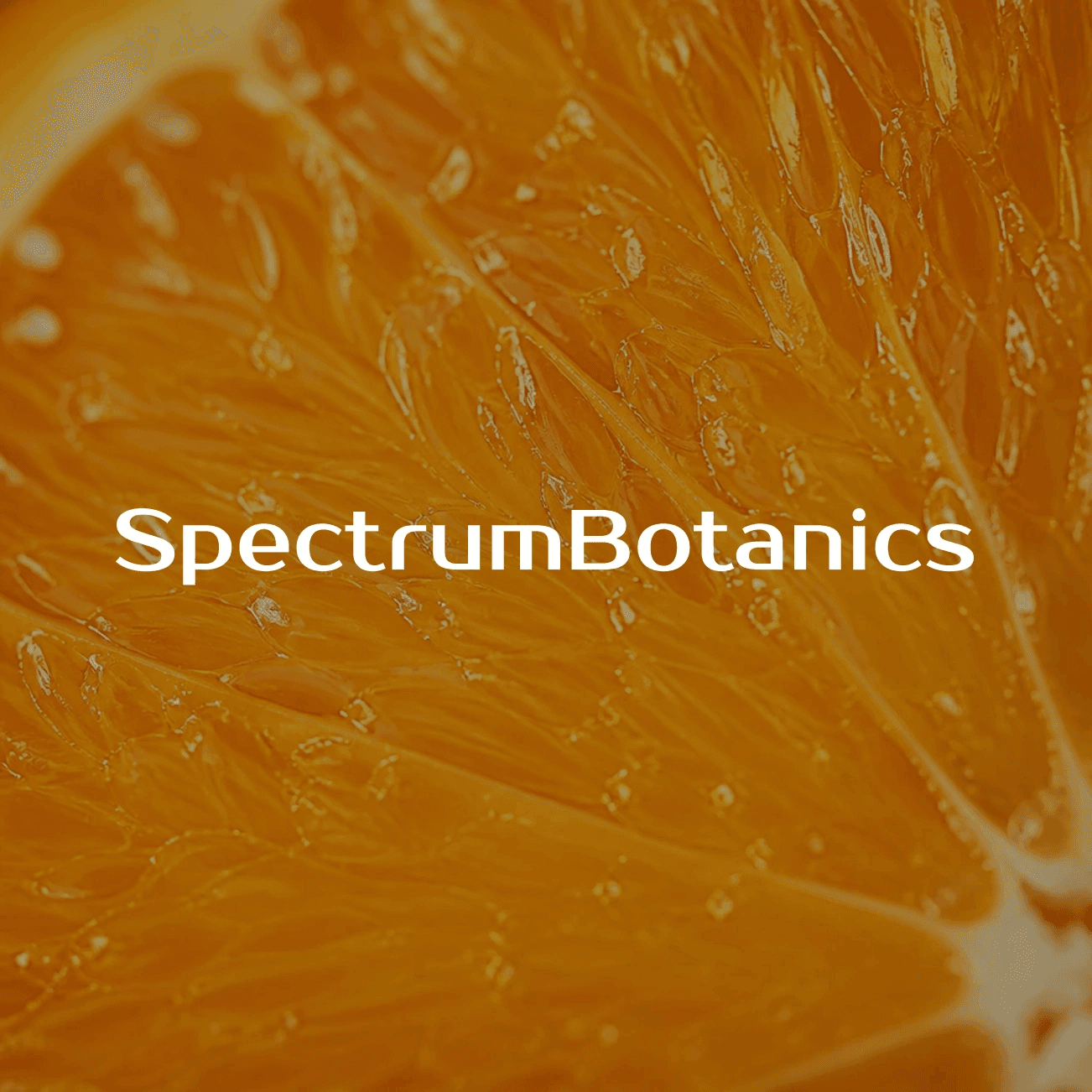 Spectrum Botanics THC Gummis Orange 5mg THC