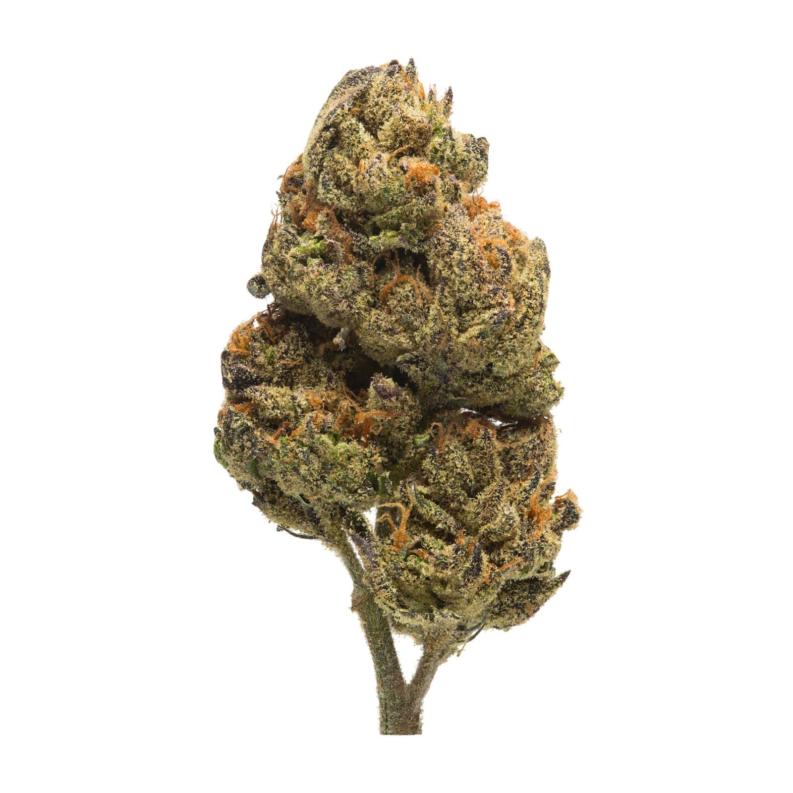 Med. Cannabis