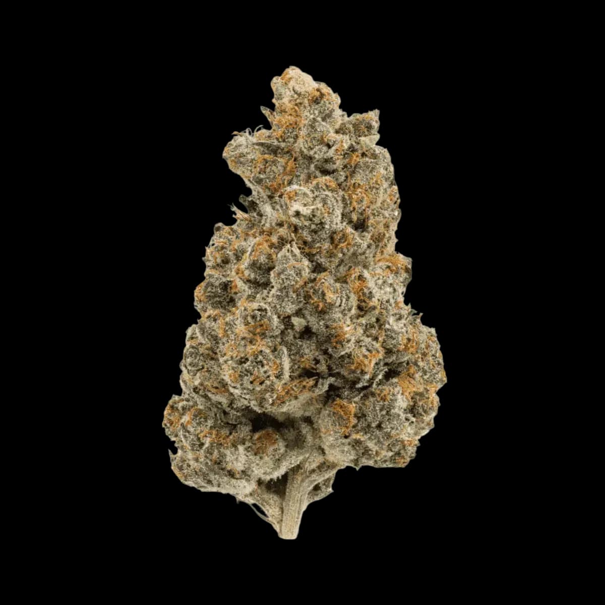 Med. Cannabis