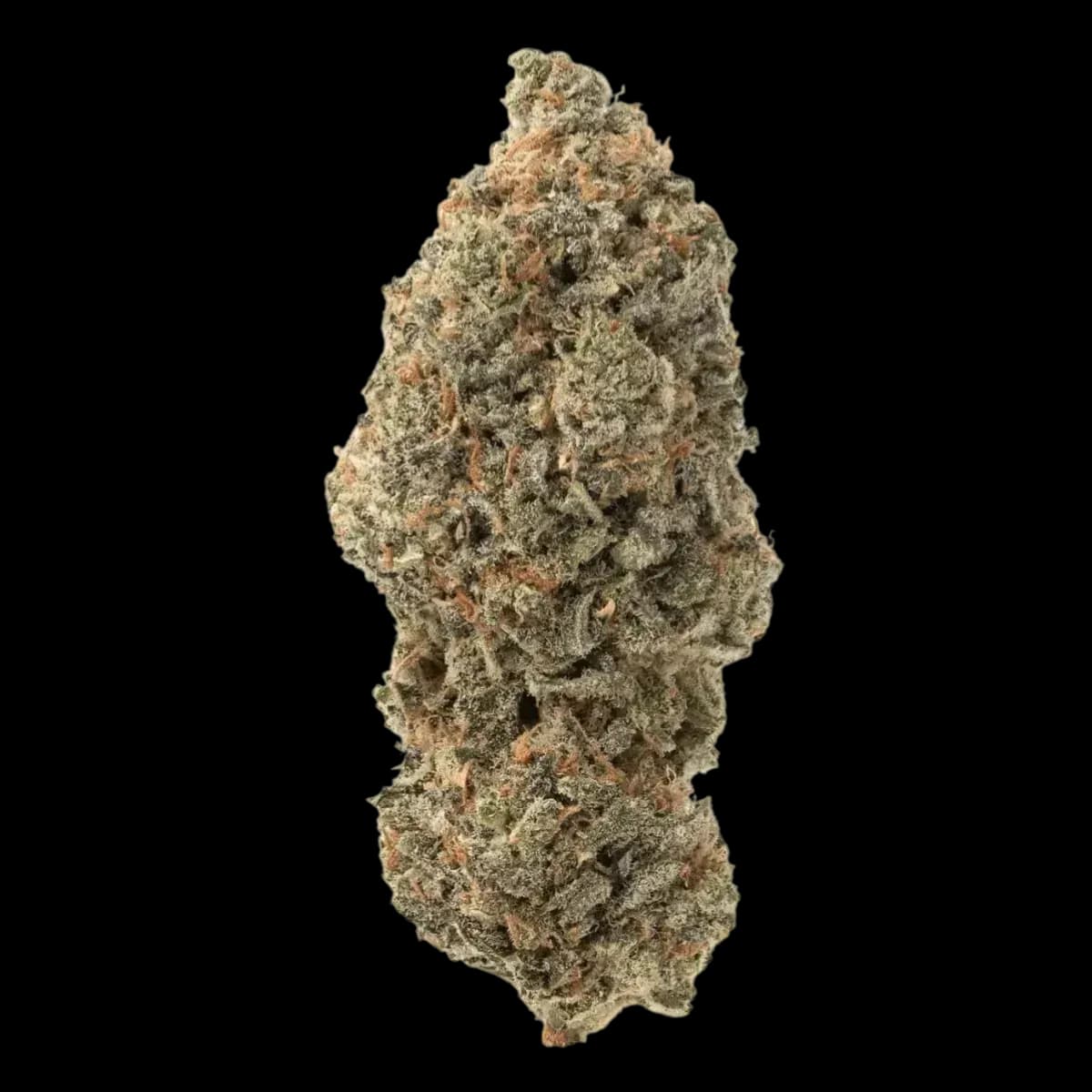 THC AKUT TM 24 RB