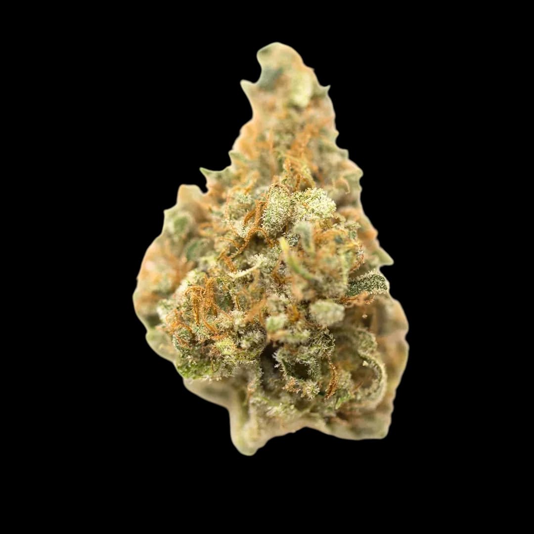 Tilray Craft Cannabisblüten THC22 CCC