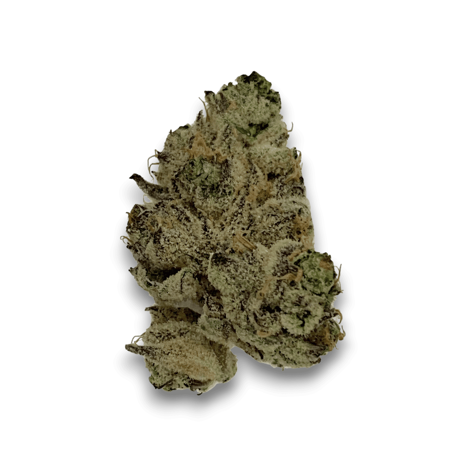 Tilray Craft Cannabisblüten THC25 PPV