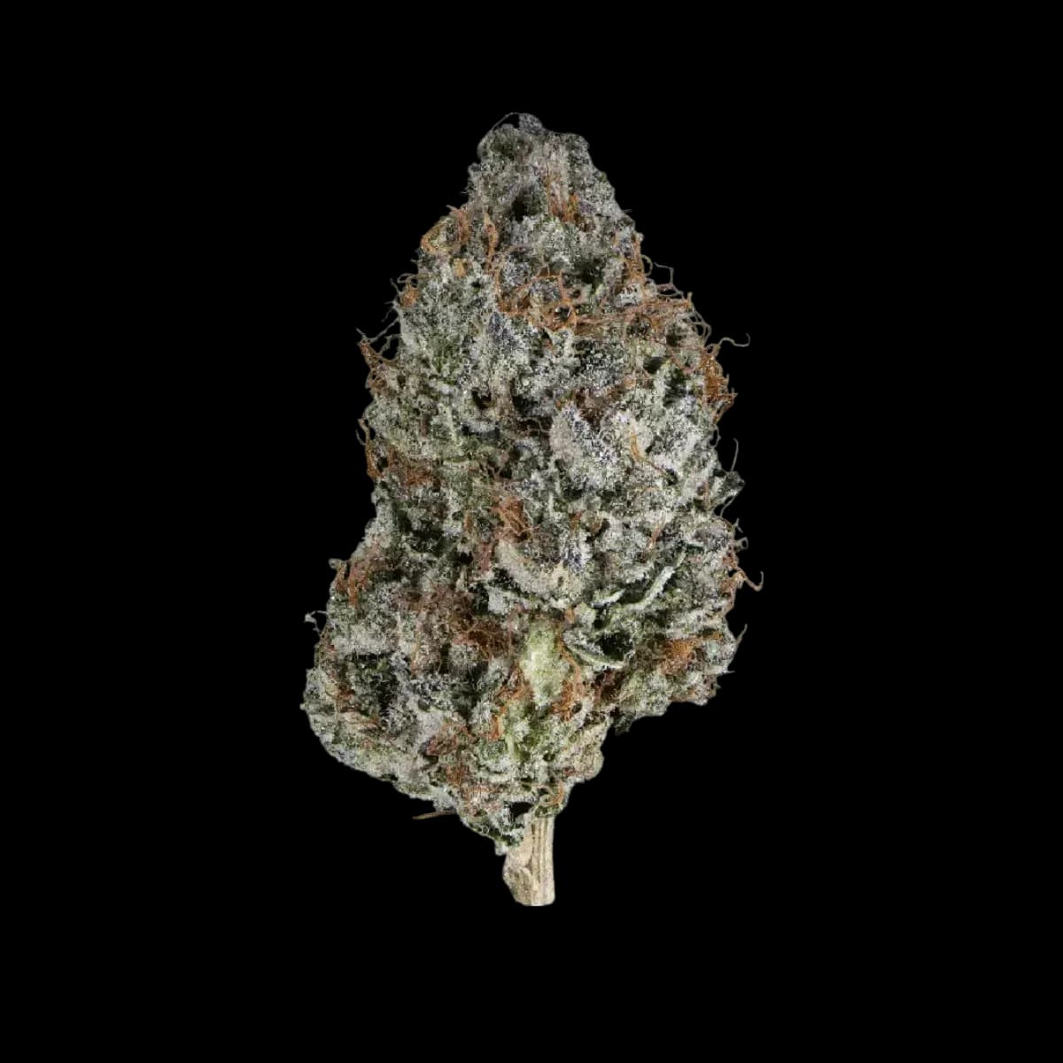 Med. Cannabis