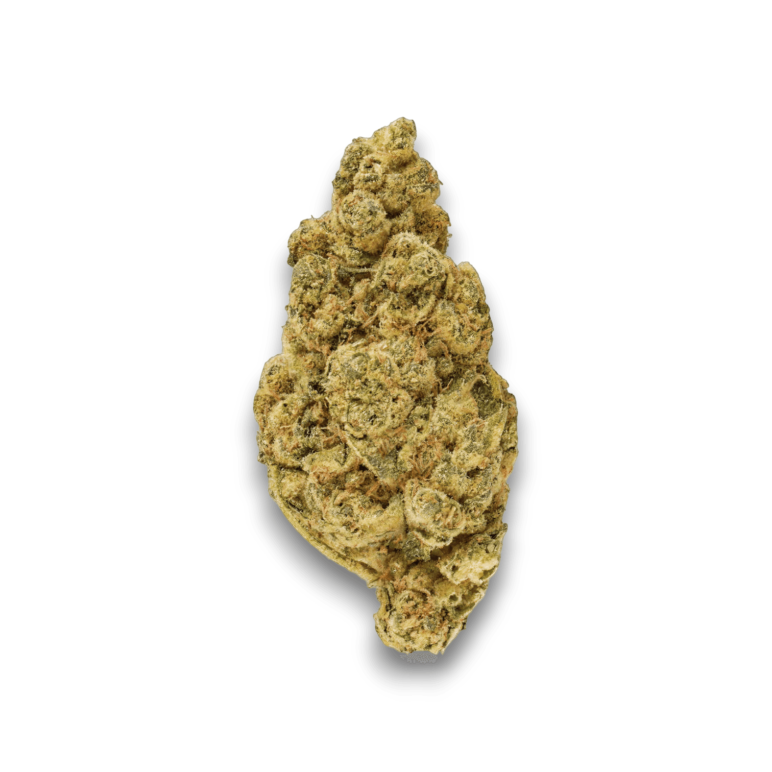 Med. Cannabis