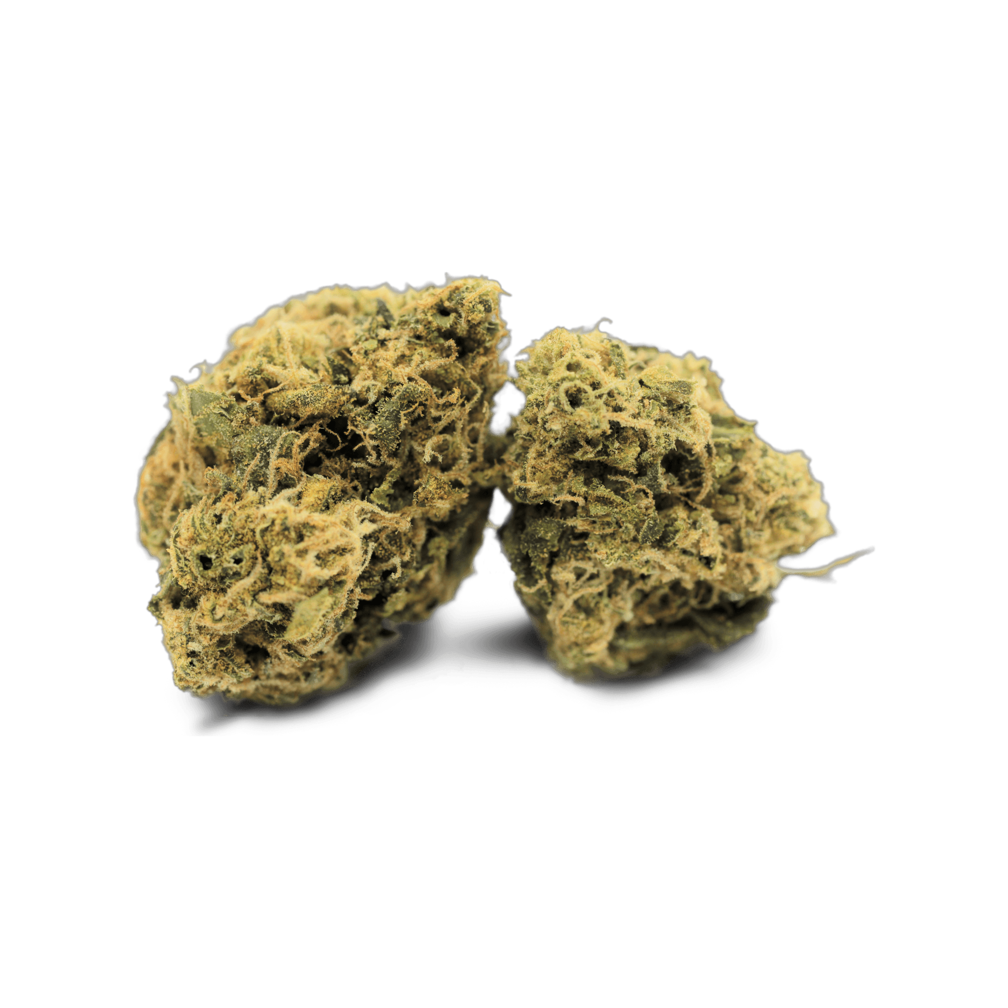 Tilray Indica THC-Strong Cannabisblüten