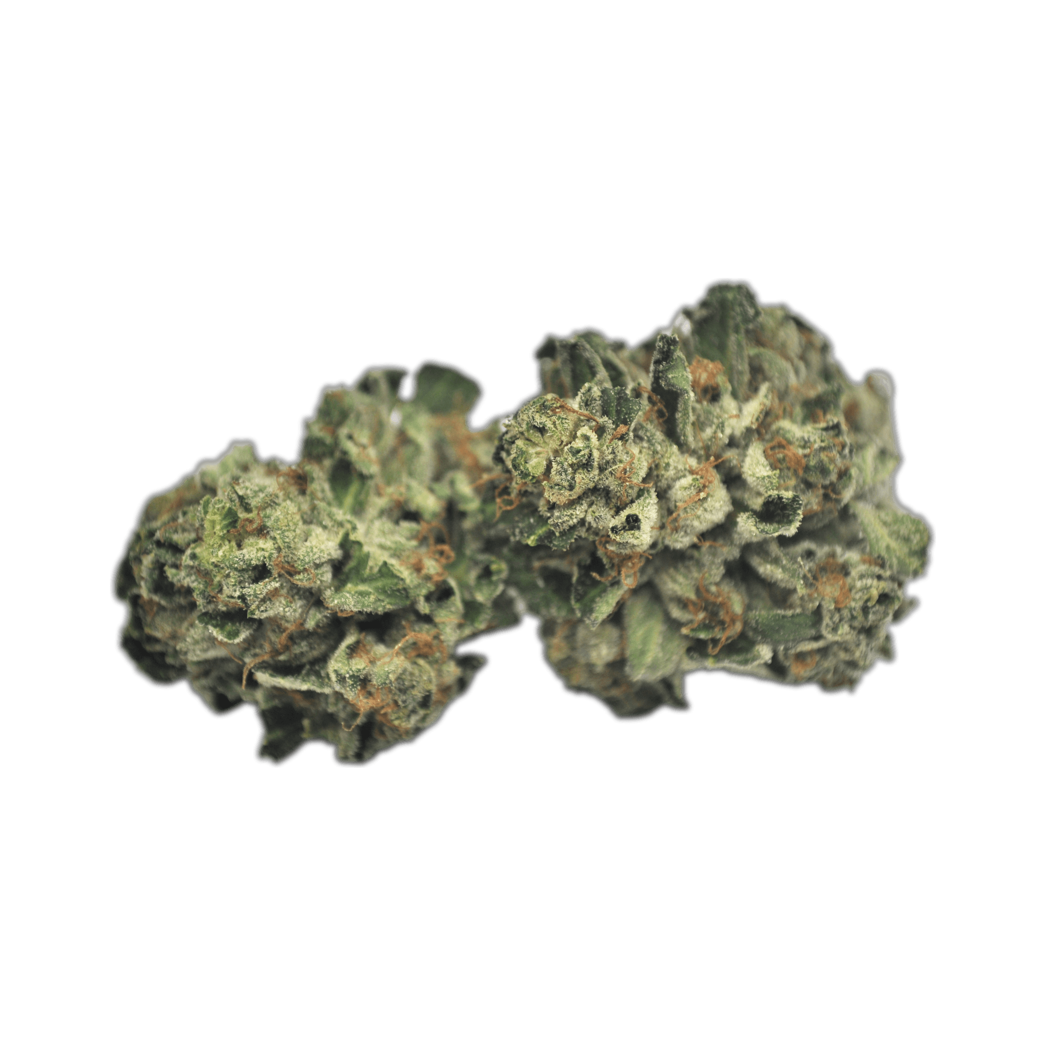 Tilray THC 15 Spotlight Porto R