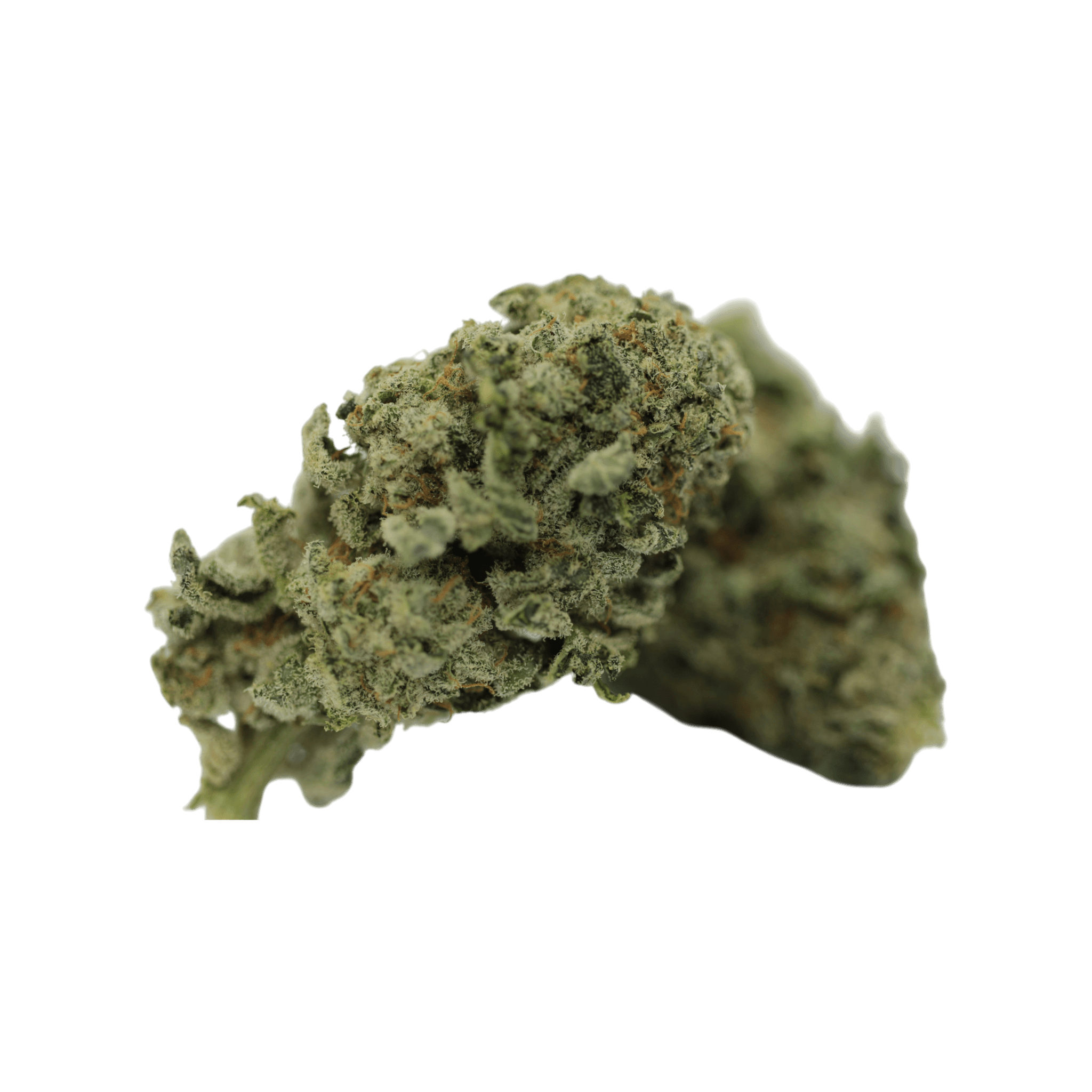 Tilray THC 18 Spotlight Porto Blueberry