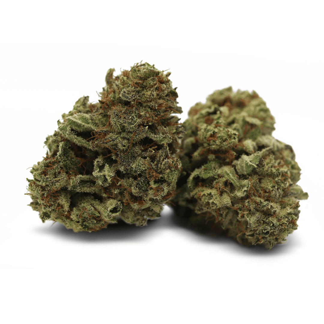 Tilray THC 18 Spotlight Porto Lilac Diesel