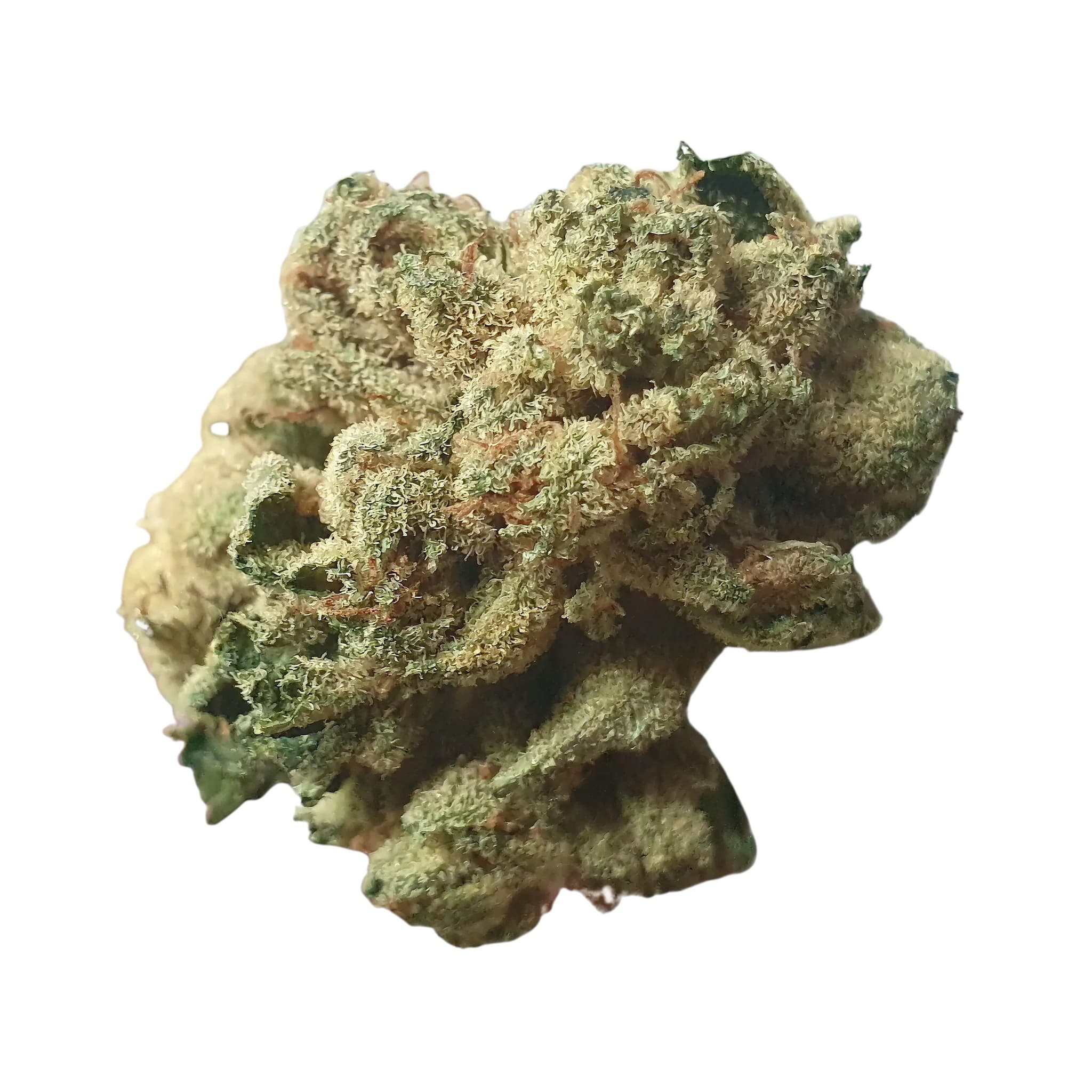 Med. Cannabis