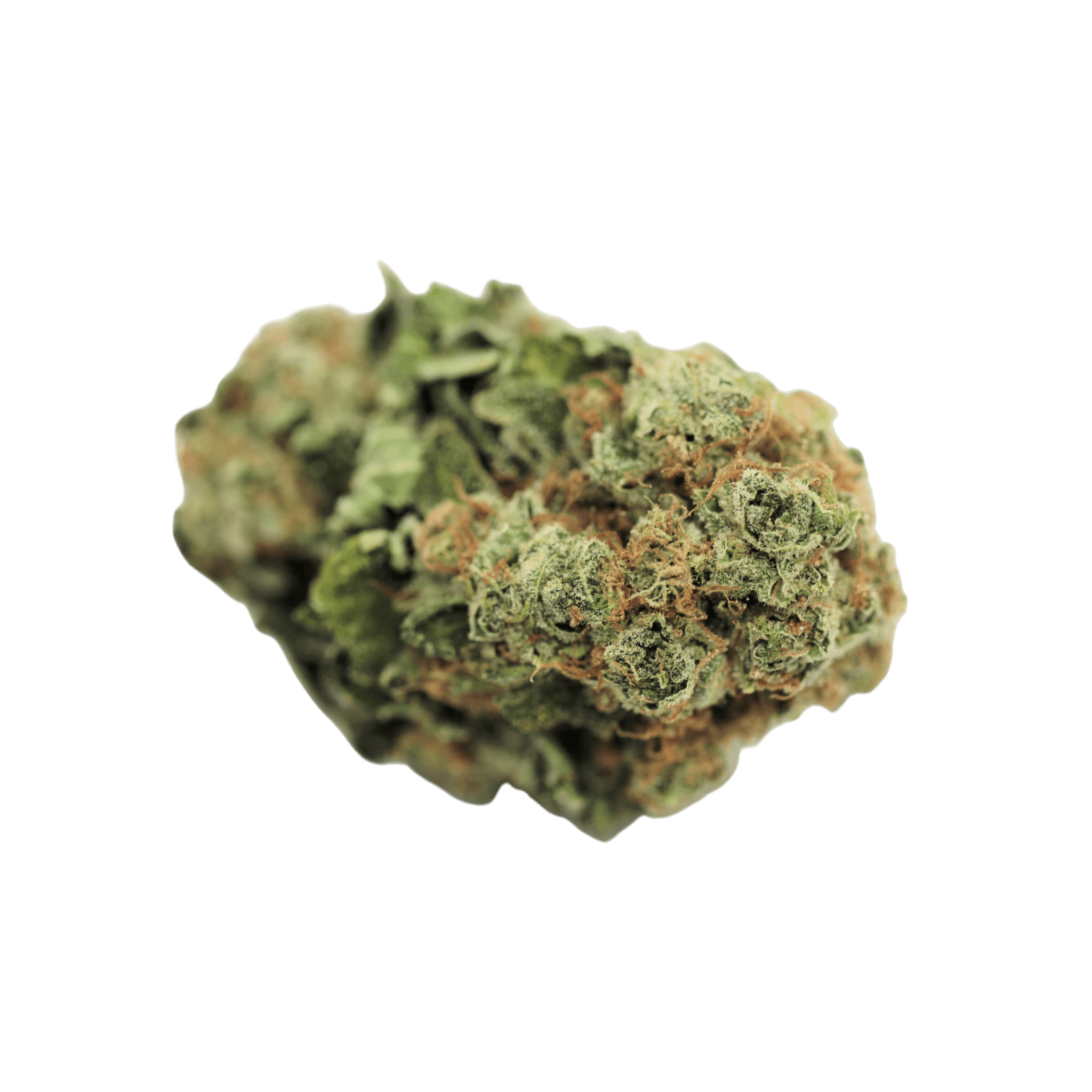 Tilray THC 18 Spotlight Porto WW