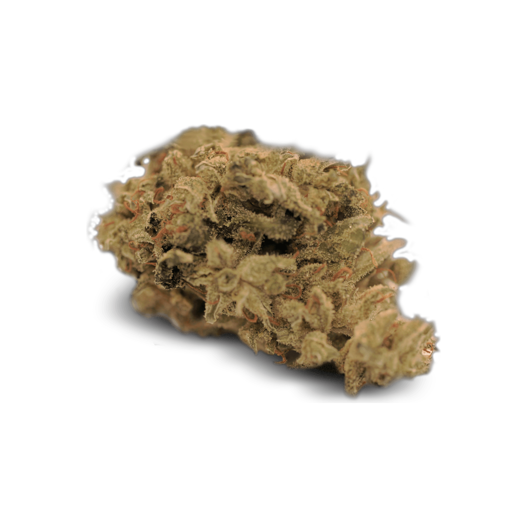 Tilray THC 18 Spotlight Vancouver ISS