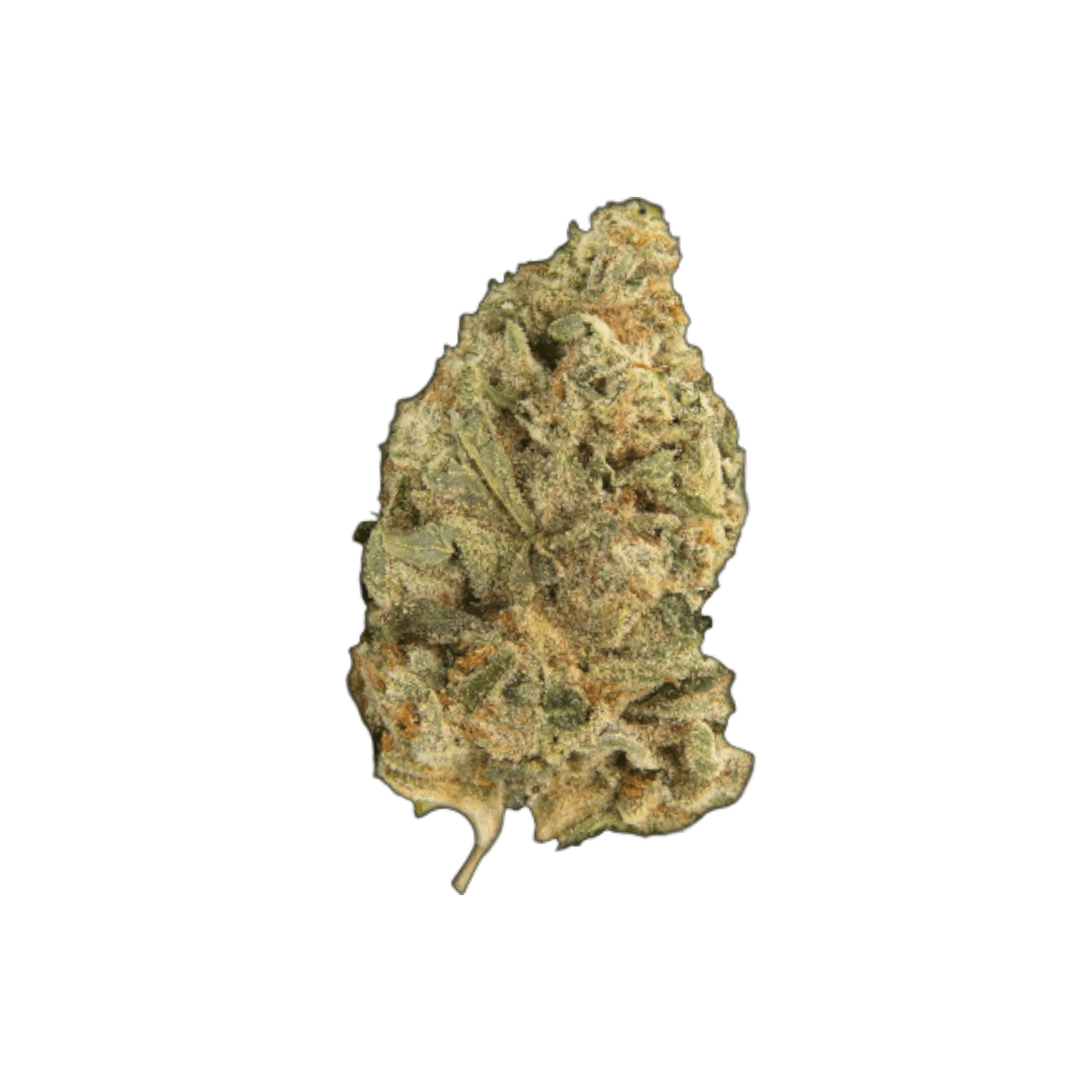 Tilray THC22 Spotlight Montevideo GG