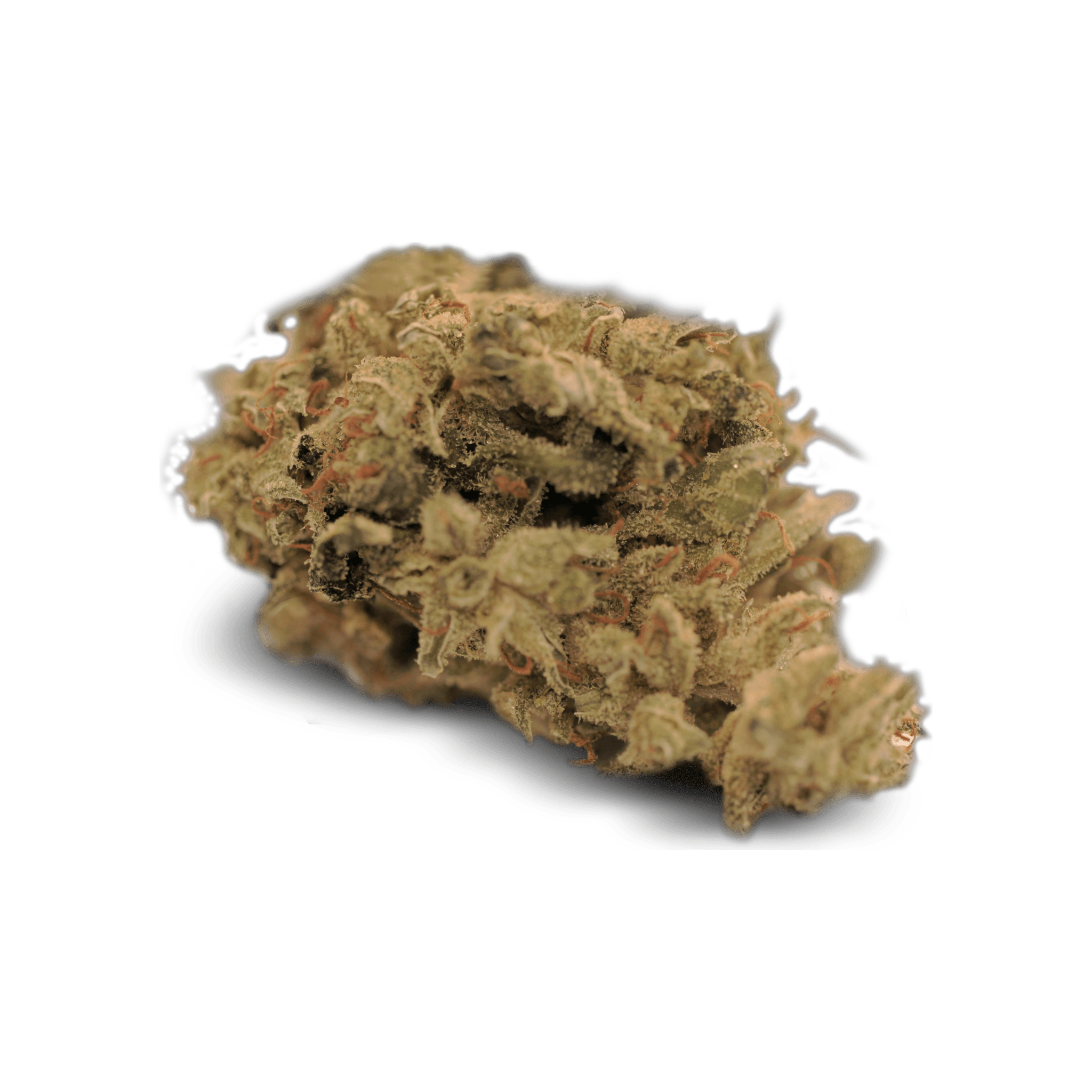 Tilray THC22 - GWISS