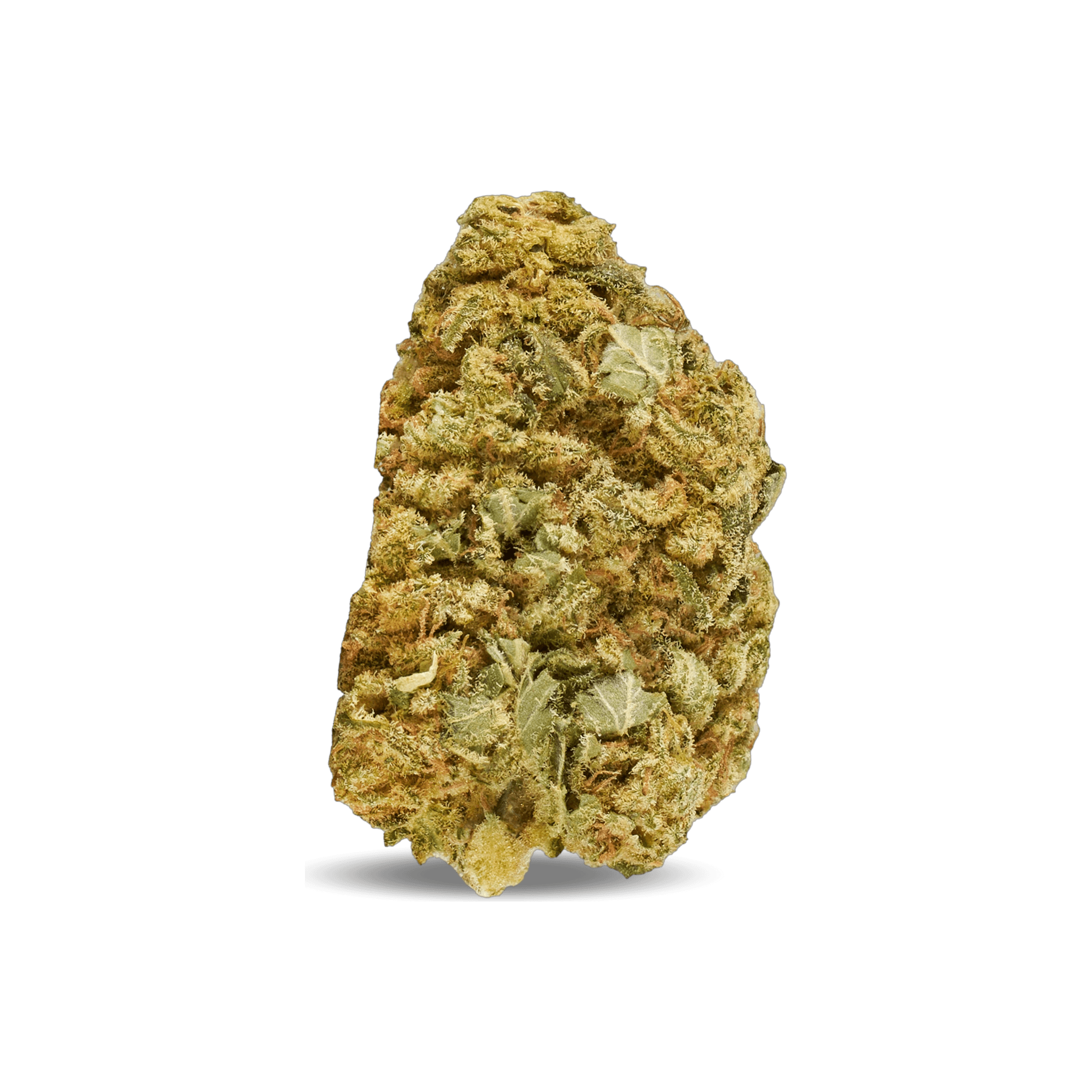 Tilray THC22 Indica No.2