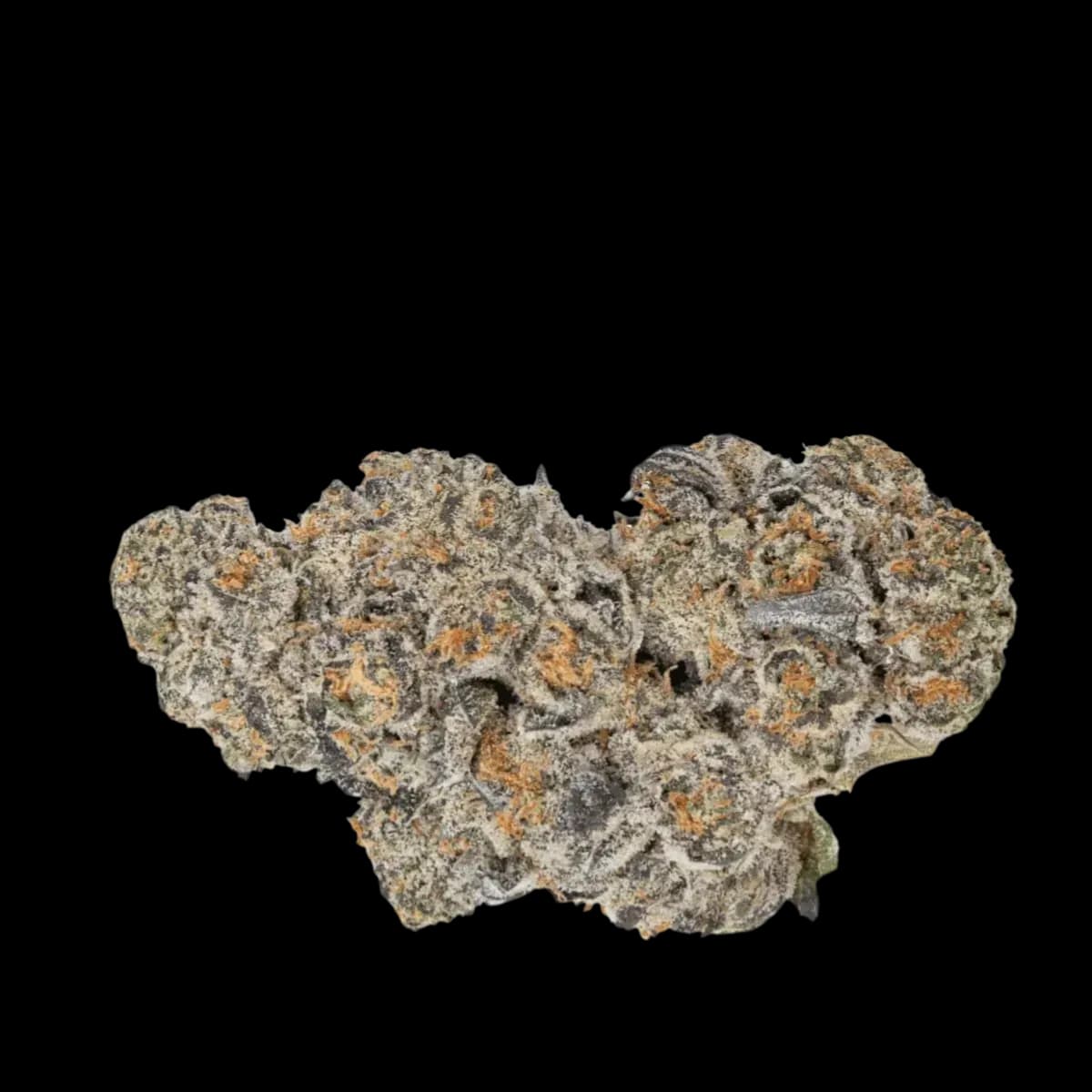 Tilray THC22 Spotlight Porto