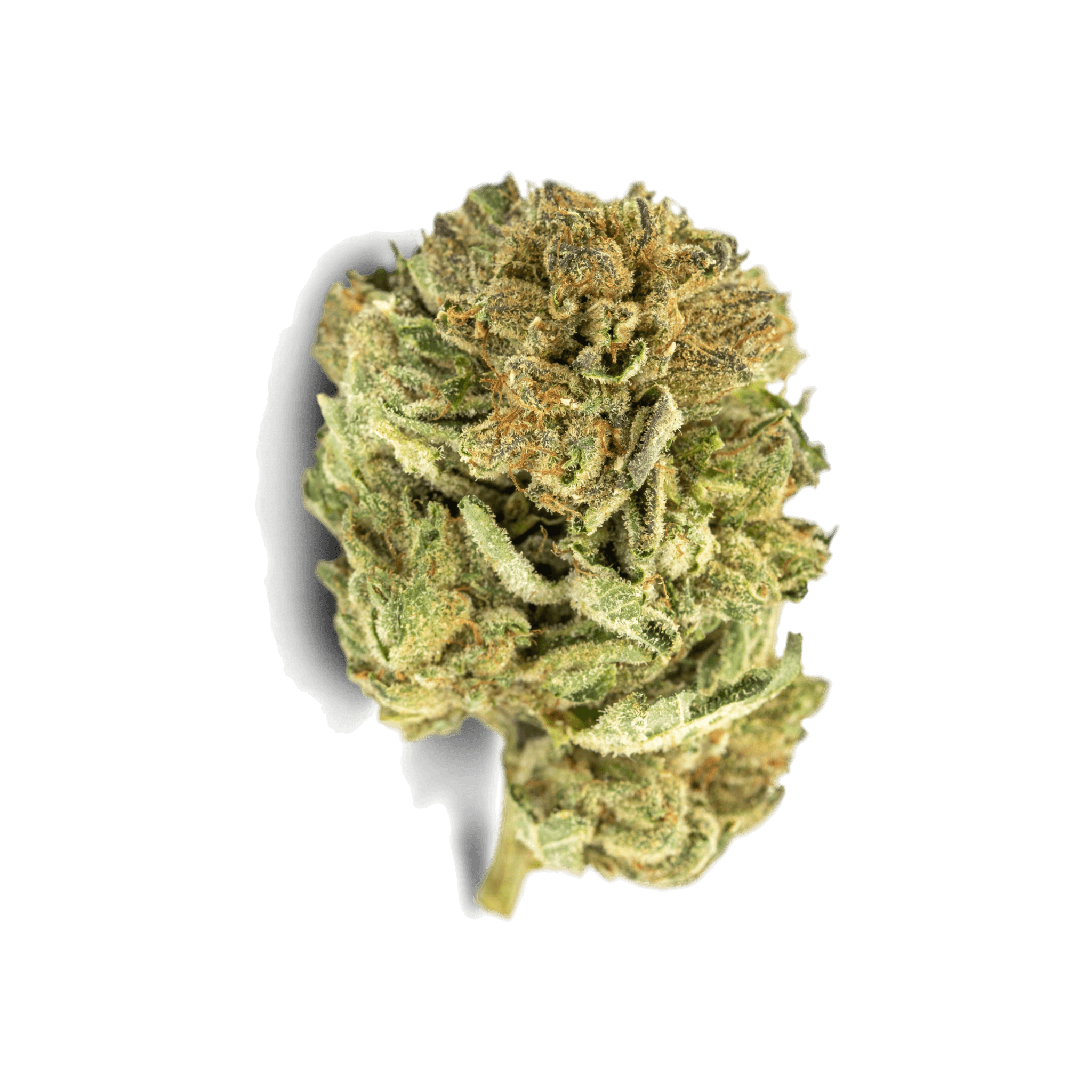Tilray THC25 Indica No.2