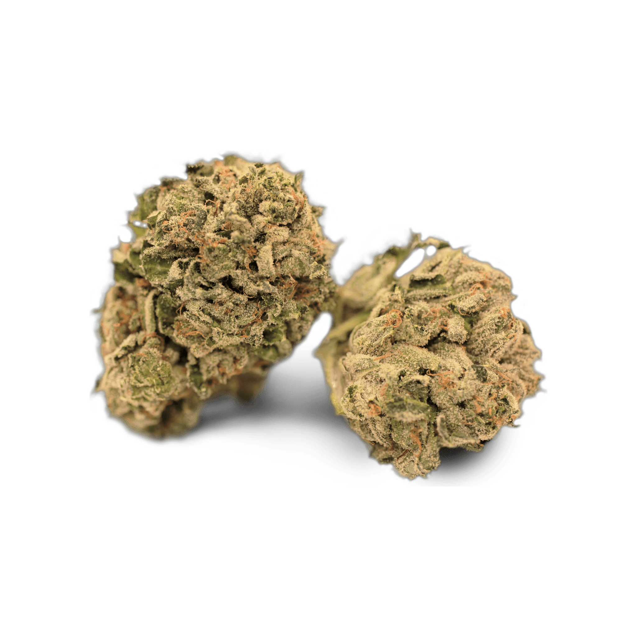 Tilray THC25 Sativa No.2